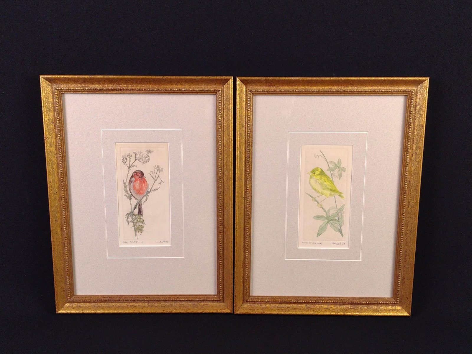2 Bird Engravings: Pencil signed. Signature indecipherable. Each: Sight: 6-1/4" high x 3" wide. Overall with frame: 14" high x 10-1/2" wide.