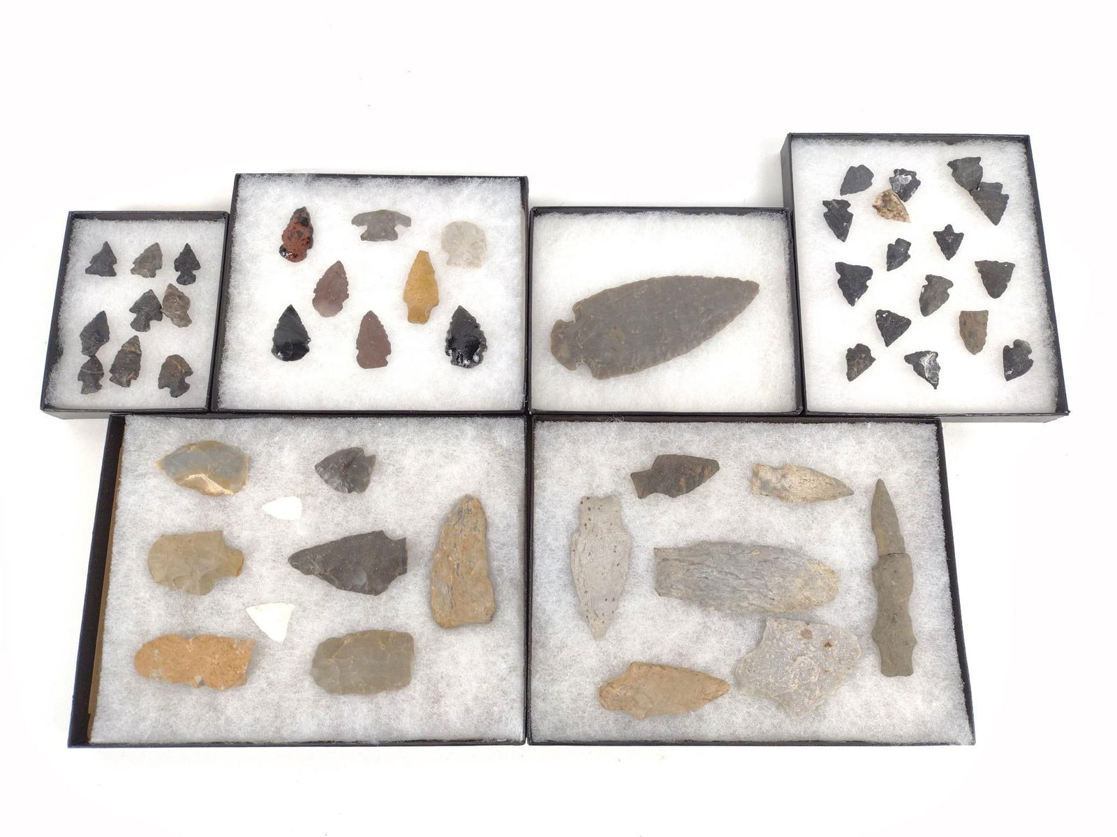 50 Arrowheads in 6 Riker Boxes (1 of 7)