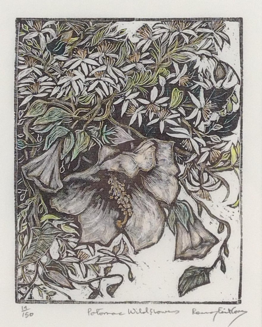 Ltd Edition Wild Flower Print (1 of 3)