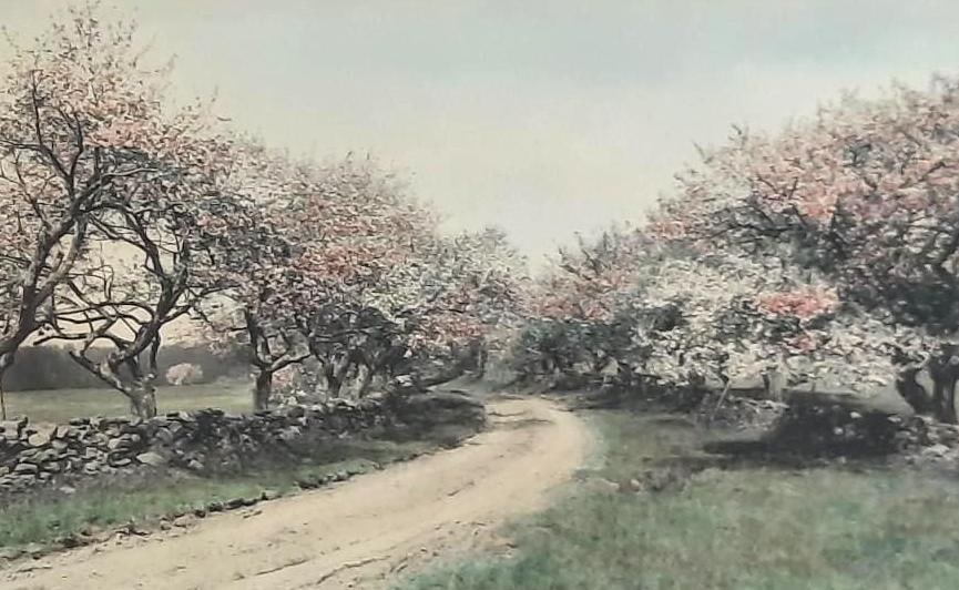 Wallace Nutting The Beckoning Road Print (1 of 4)