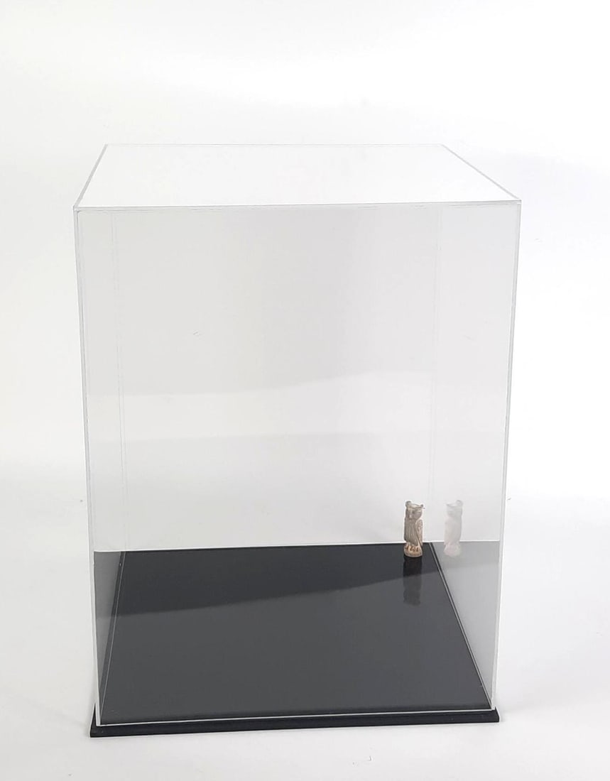 Acrylic Display Case (1 of 2)