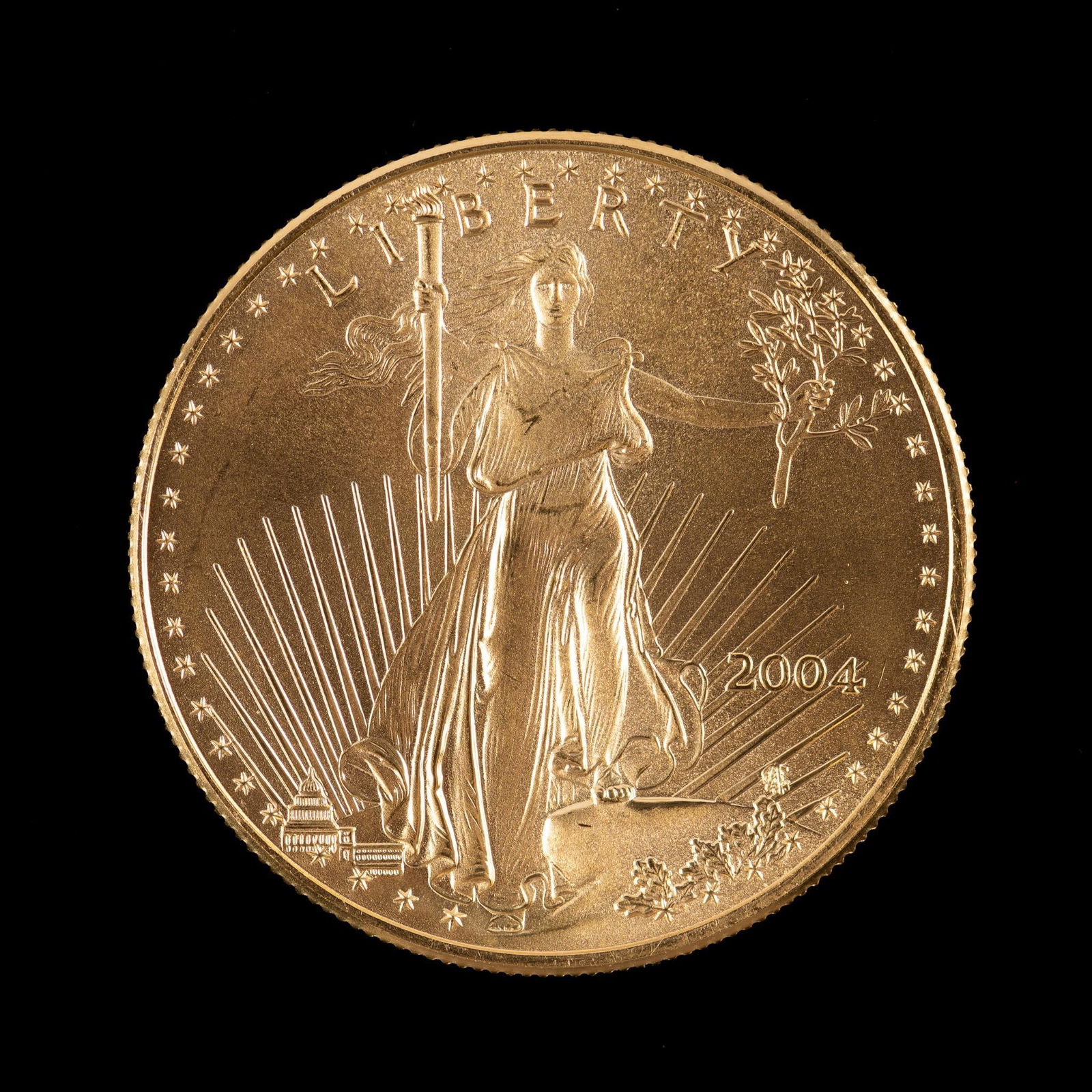2004 Eagle Gold $50 Coin (1 of 2)