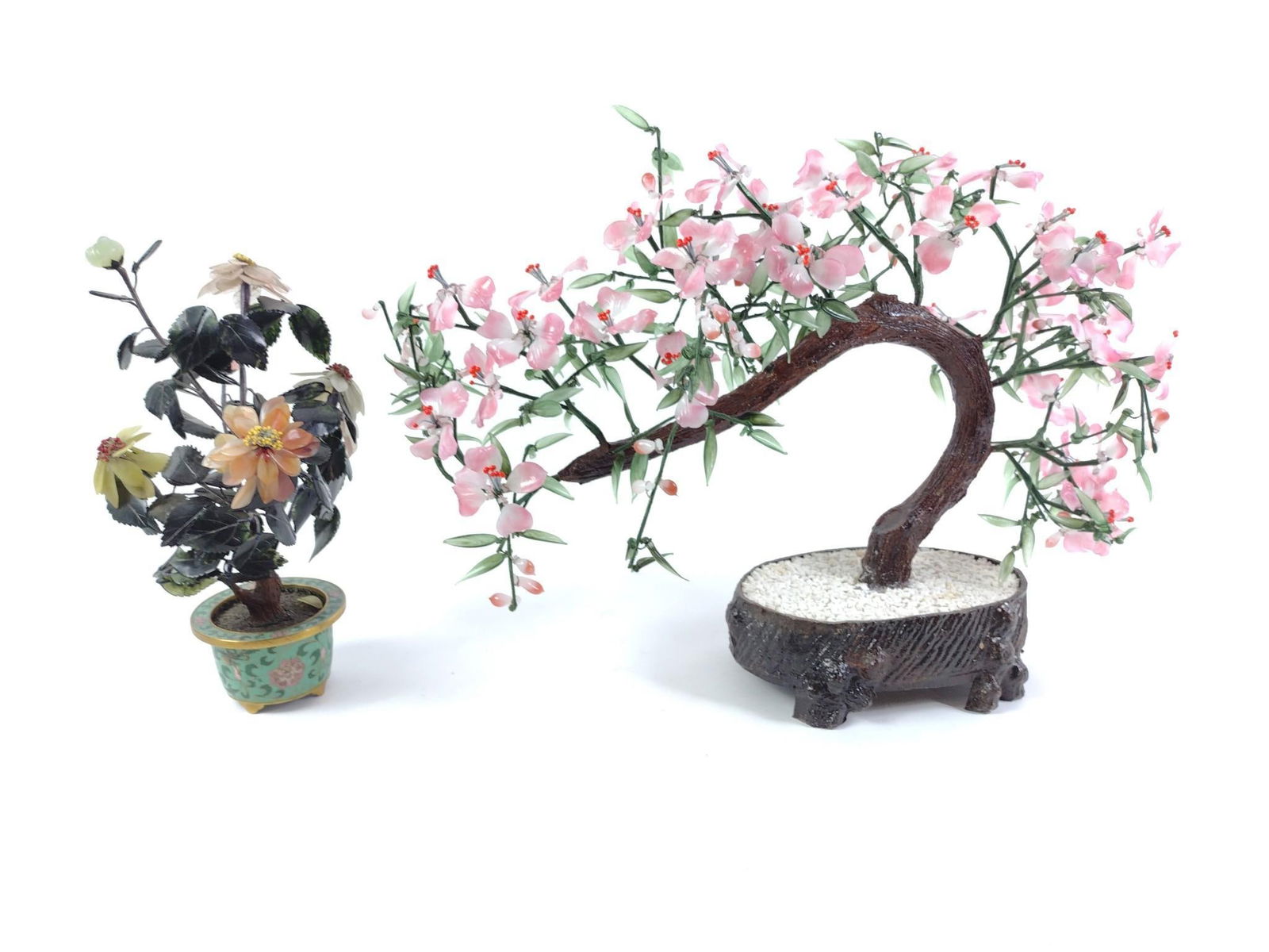 2 Asian Jade Trees (1 of 8)
