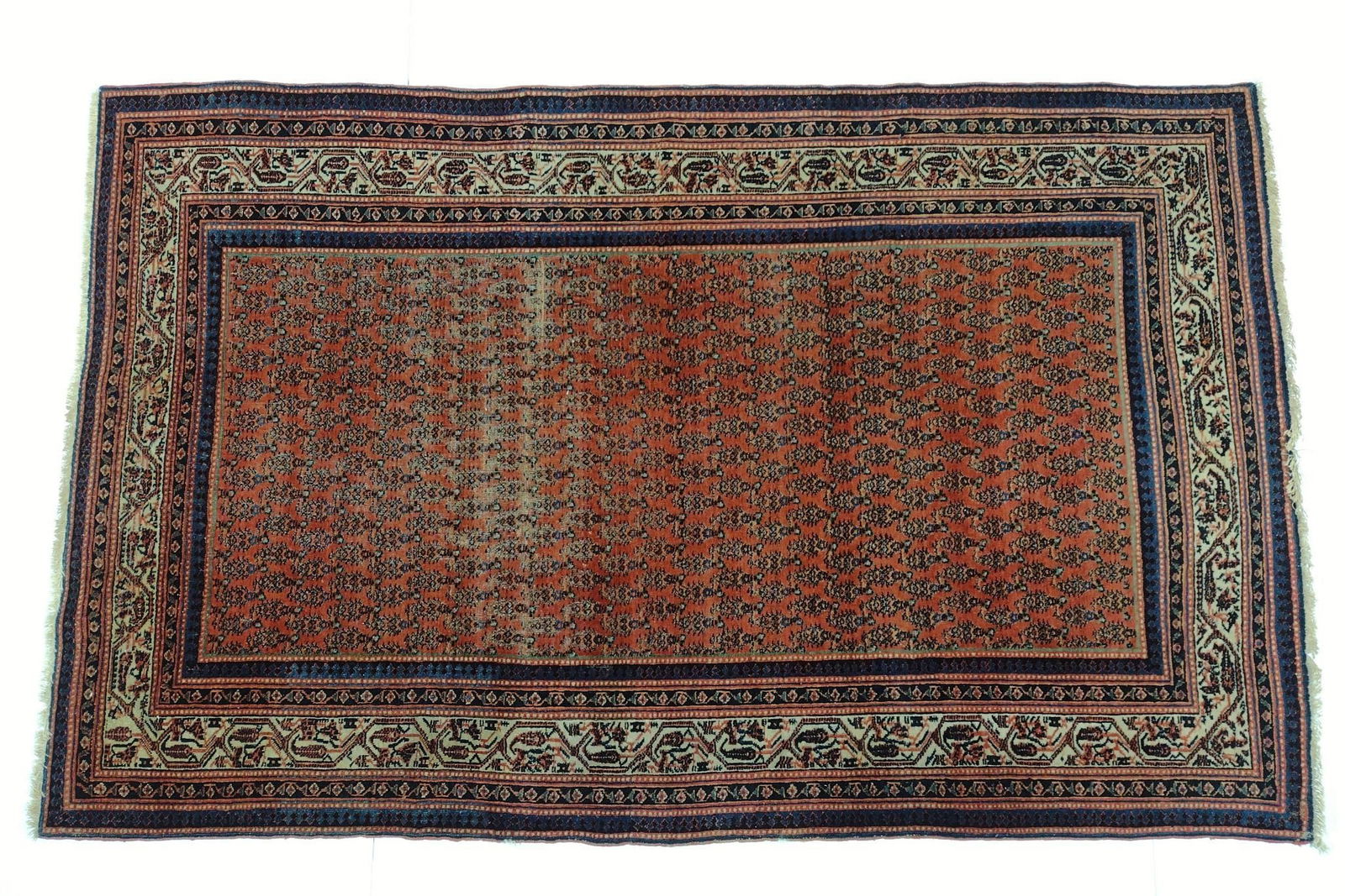 Indian Bidjar Area Rug (1 of 6)