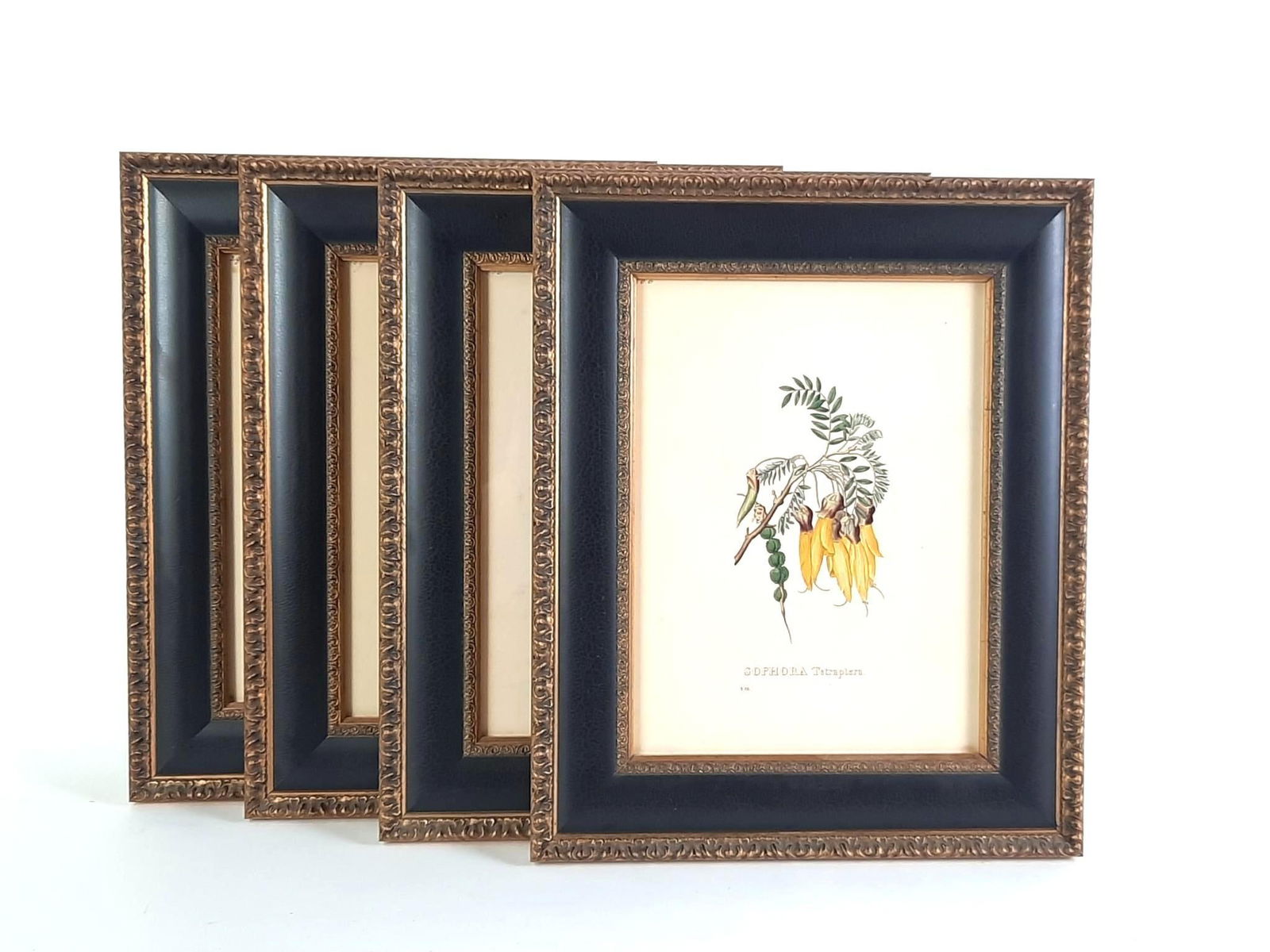 4 Botanical Prints (1 of 5)