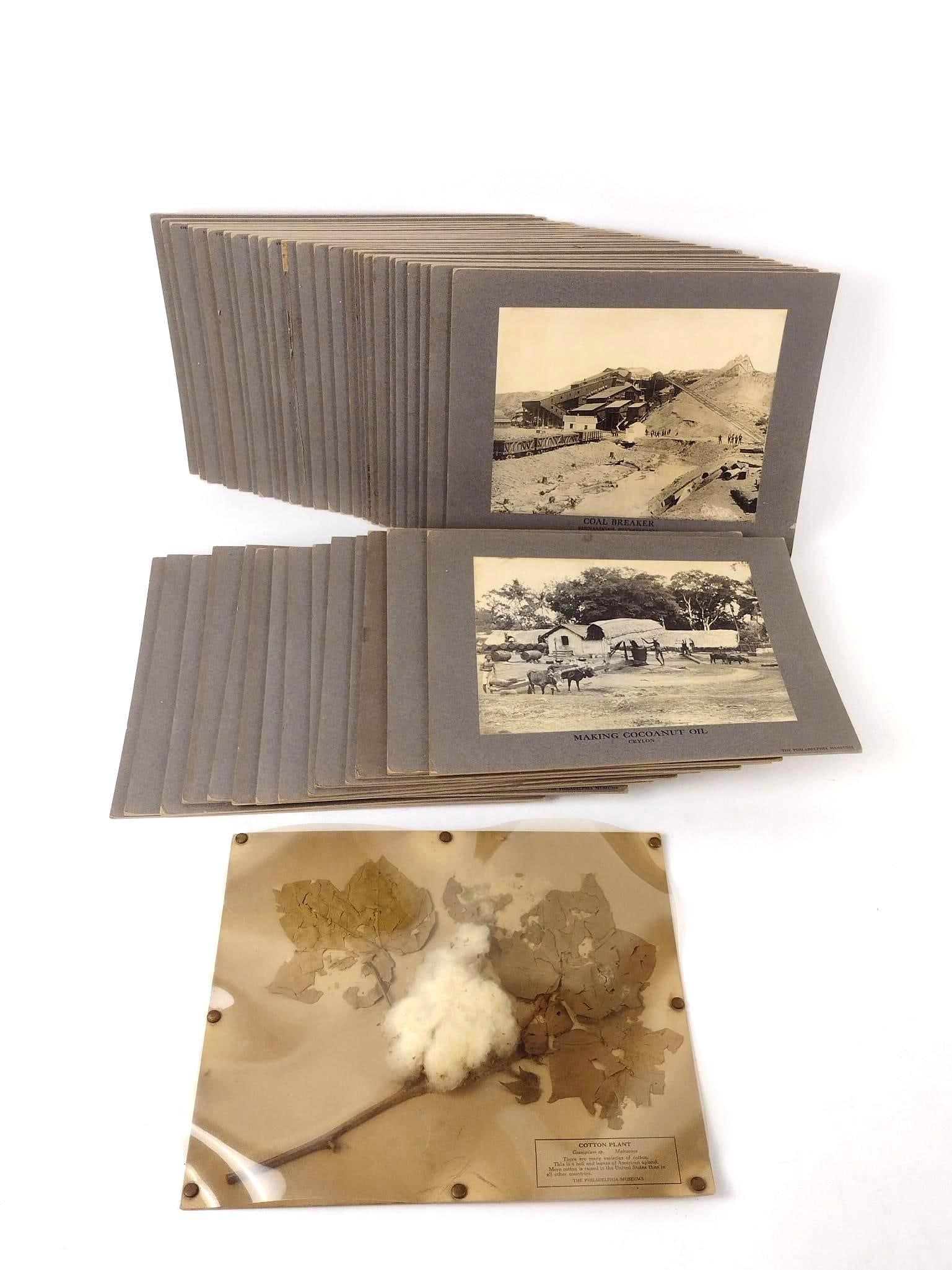 40 Philadelphia Museum Occupation Photos: Also includes 1 cotton leaf sample.