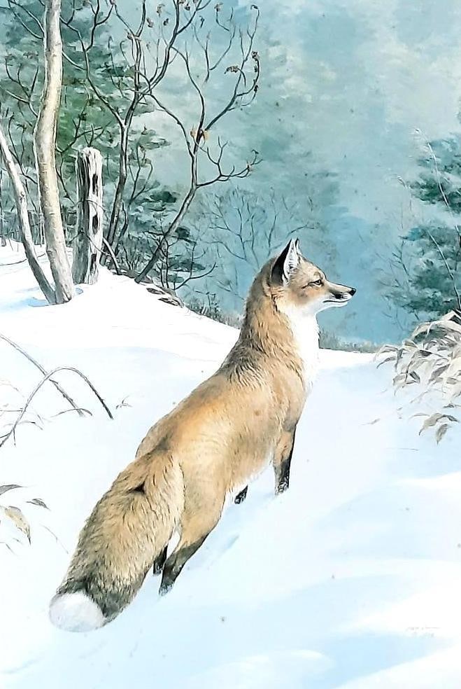 Ned Smith "Big Red" Ltd Ed Print (1 of 5)