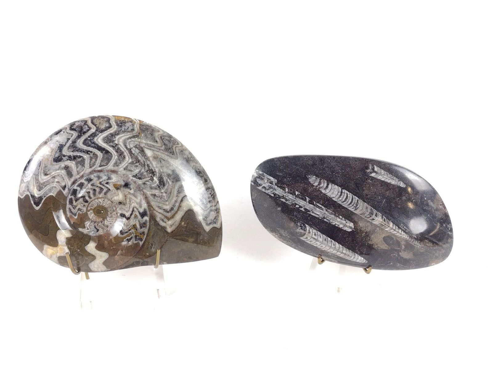 2 Hardstone Carvings incl Shell Form: Man made designs. 7" to 7-1/2" wide x 4-1/2" to 5-1/2" high. Each with Lucite and brass stand.