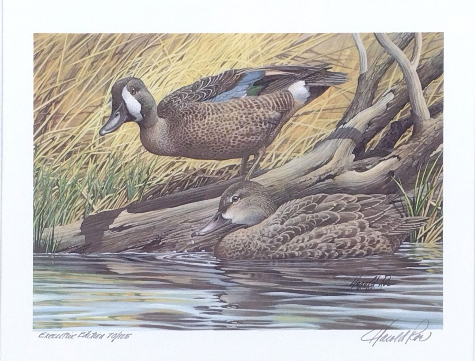 Harold Roe Ohio Wetlands Habitat Stamp / Ltd Print (1 of 7)