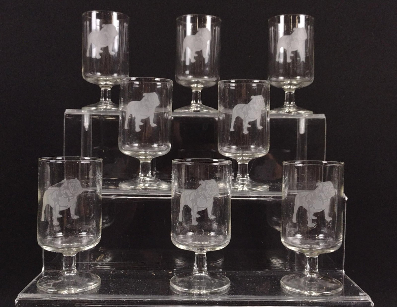 8 Bulldog Etched Glasses: 2-1/4" diameter x 4-1/2" high.