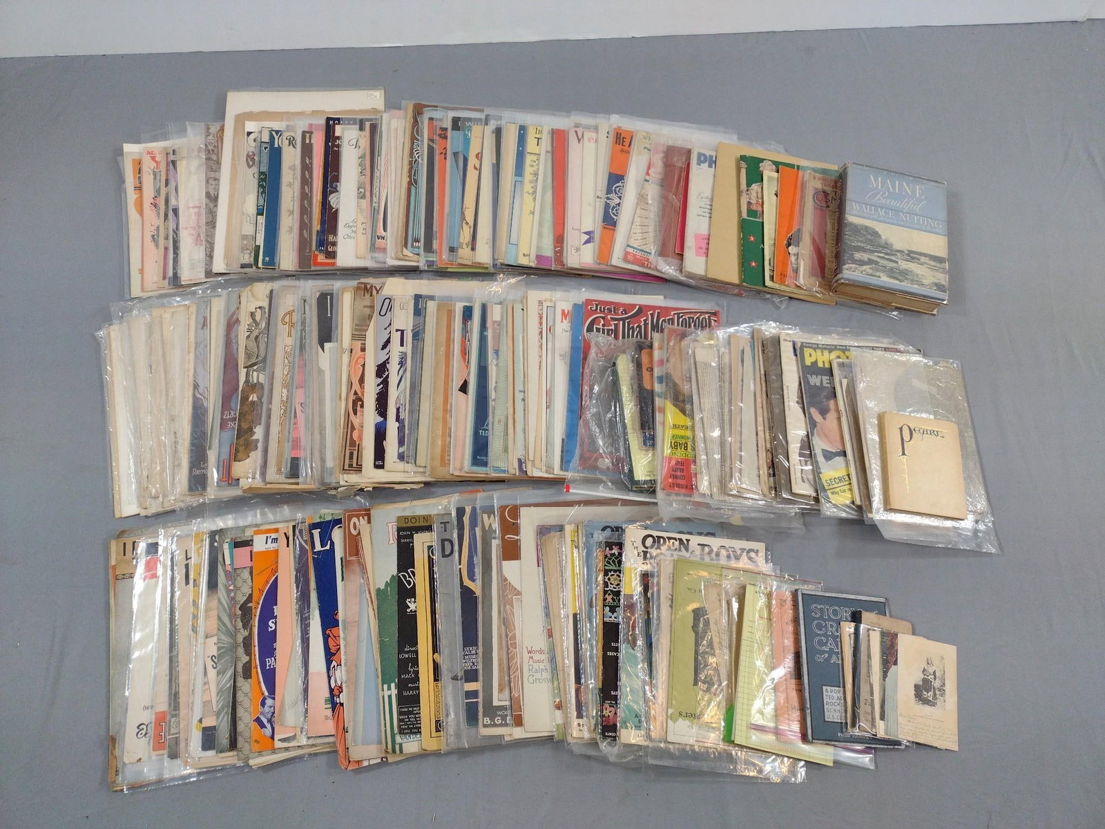 Large Grouping Sheet Music incl Holiday: Also includes country hits, love songs and more. Most in plastic sleeve protectors. Some with wear consistent with age and use.
