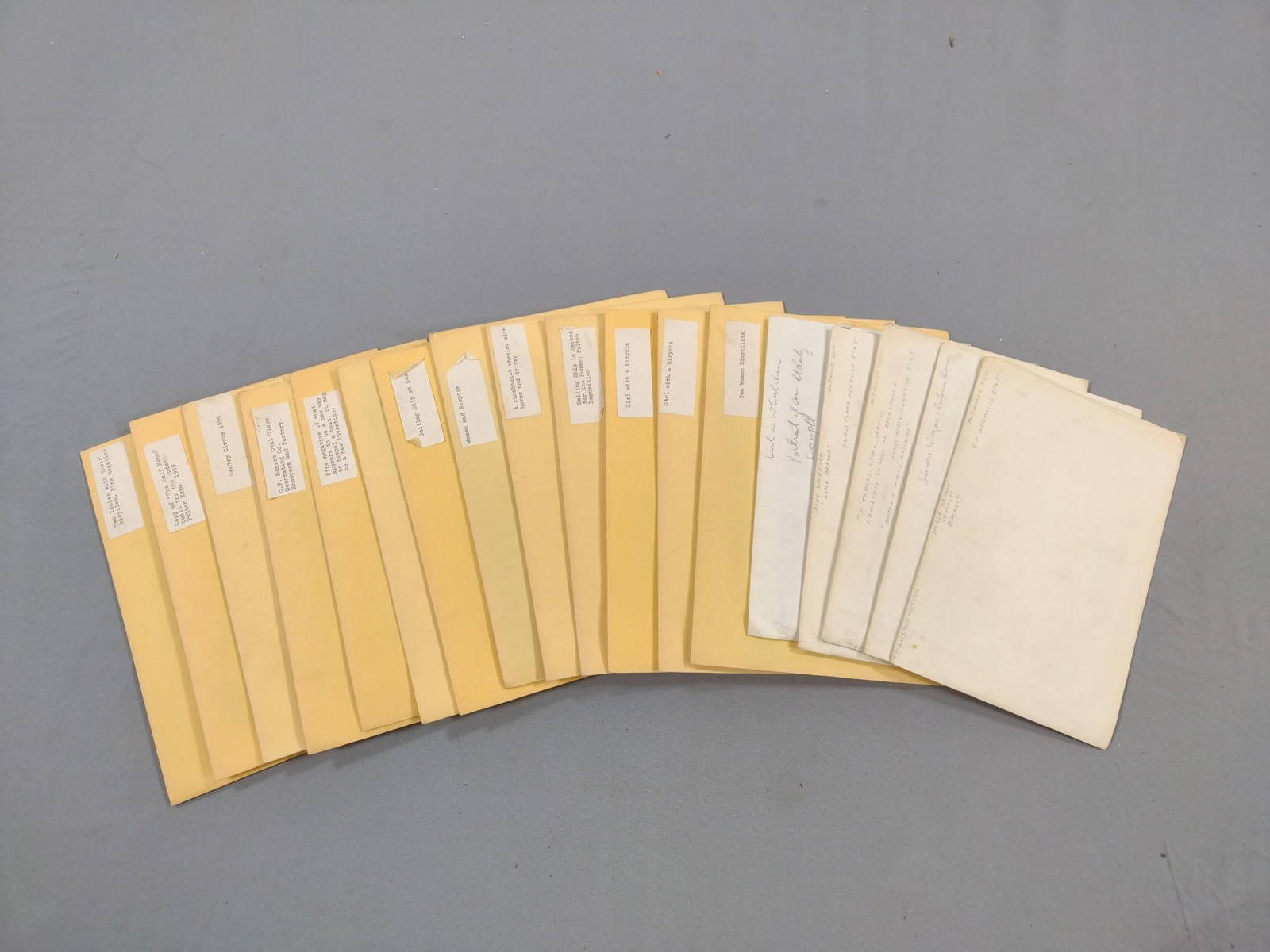 20 Glass Plate Negatives Incl Gentry Circus 1890 Auction