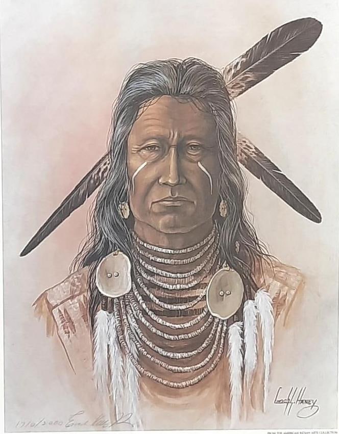 Enoch Kelly Haney "Apsaroke Warrior" Ltd Ed Print (1 of 6)
