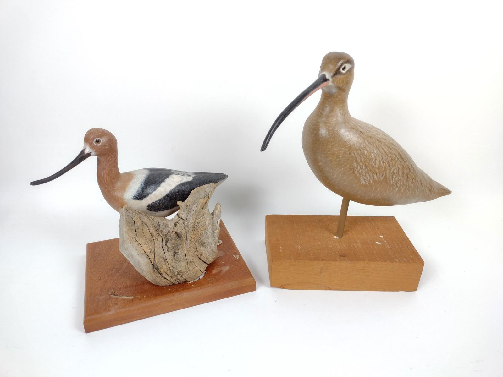 2 Shore Bird Carvings incl American Avocet (1 of 4)