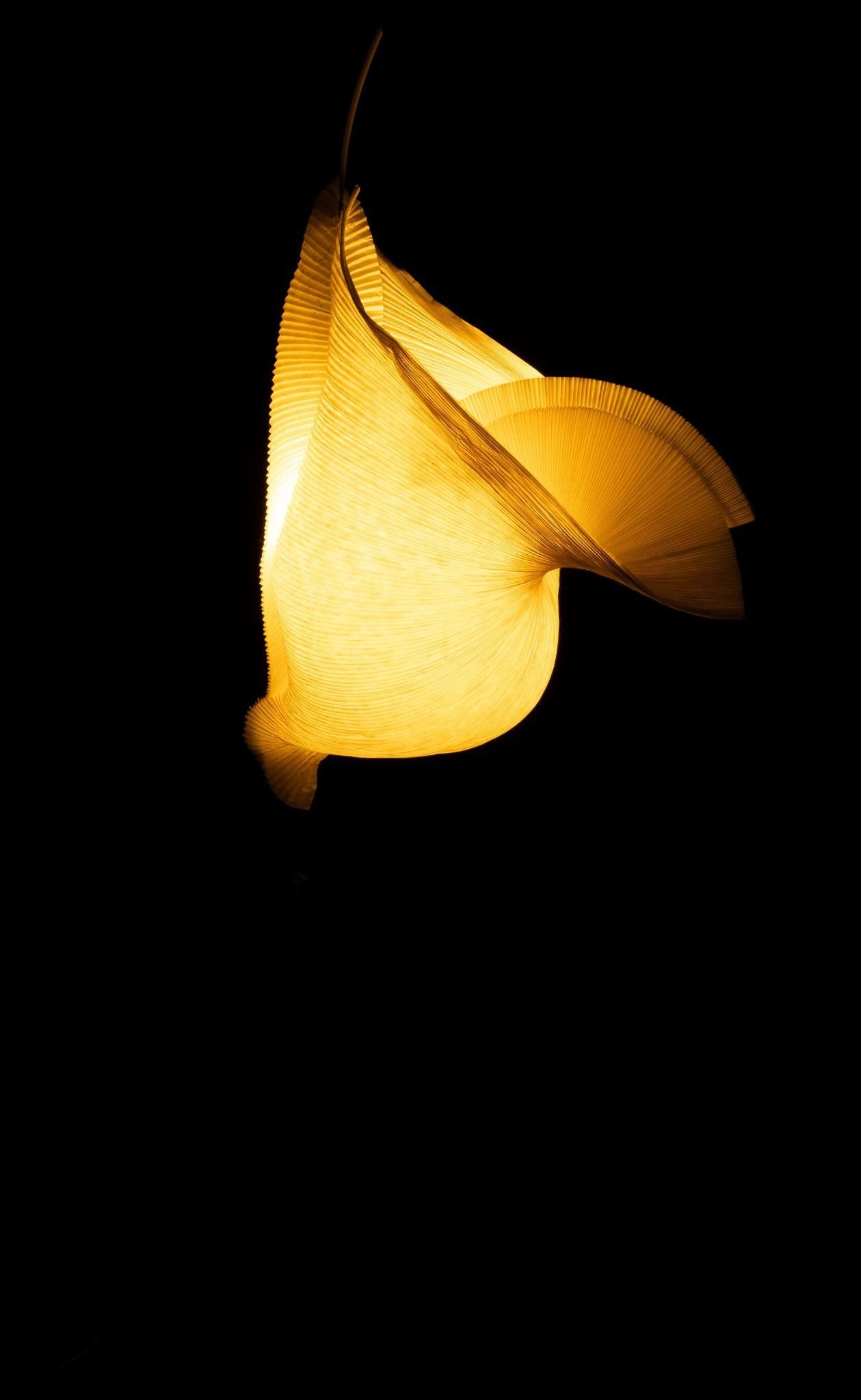 Ingo Maurer "Gaku" Table Lamp (1 of 8)