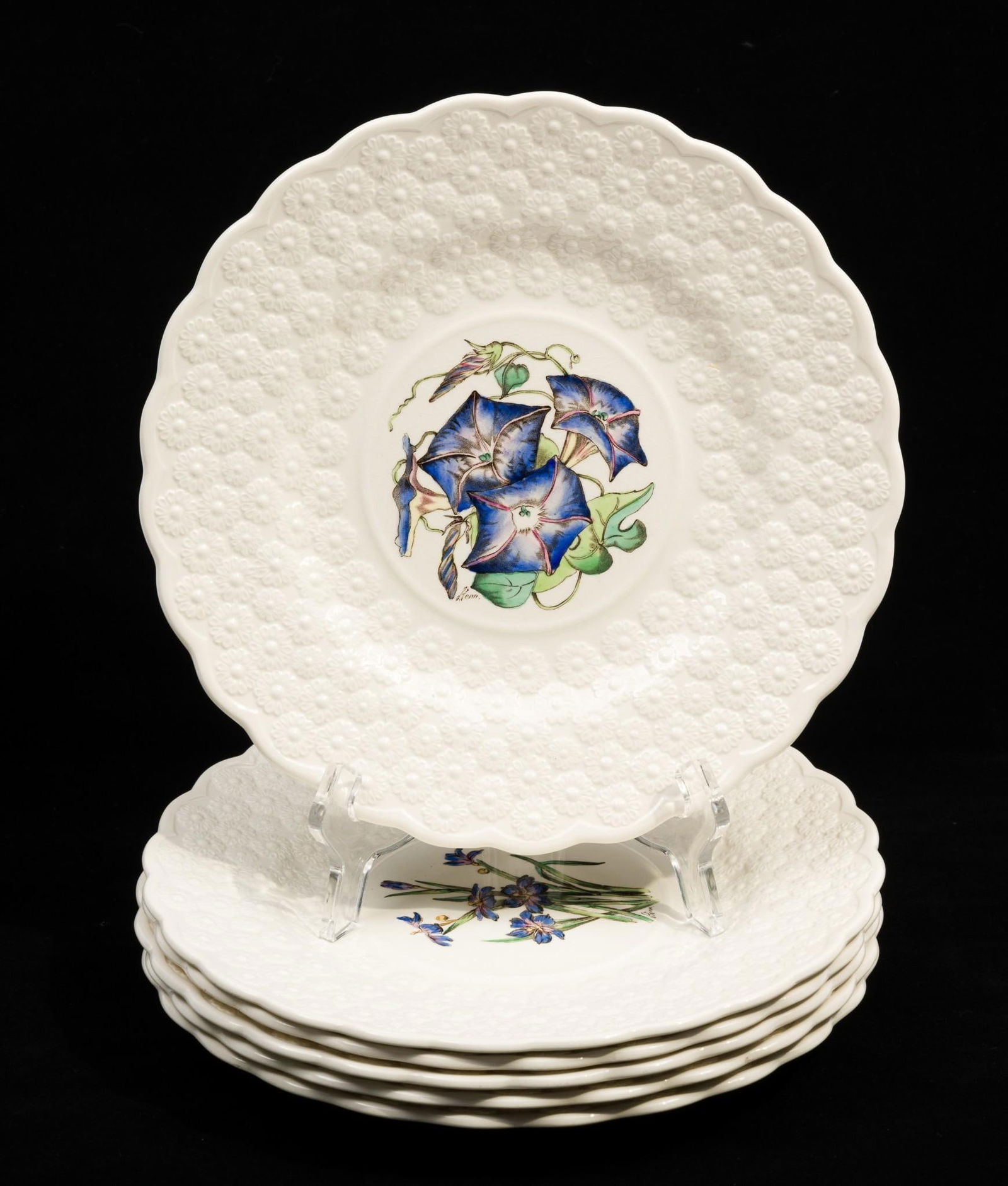 6 Copeland Spode Bermuda Botanical Cabinet Plates (1 of 7)