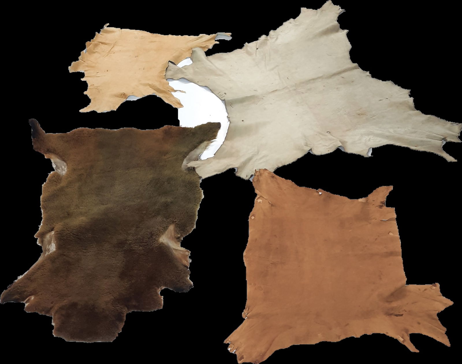 3 Animal Hides and Fur Fragment (1 of 5)