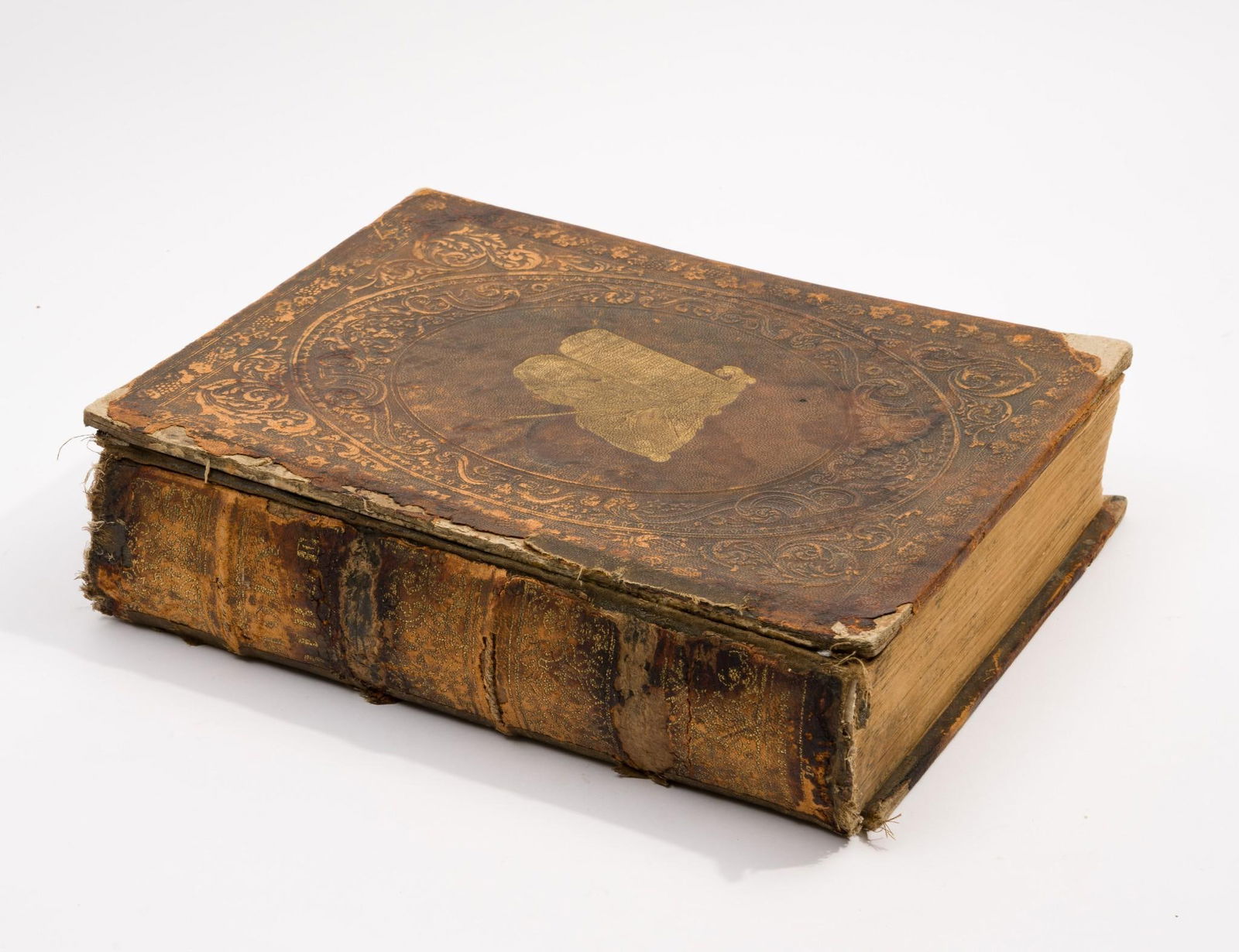 Harding’s Medium Edition Holy Bible (1 of 4)