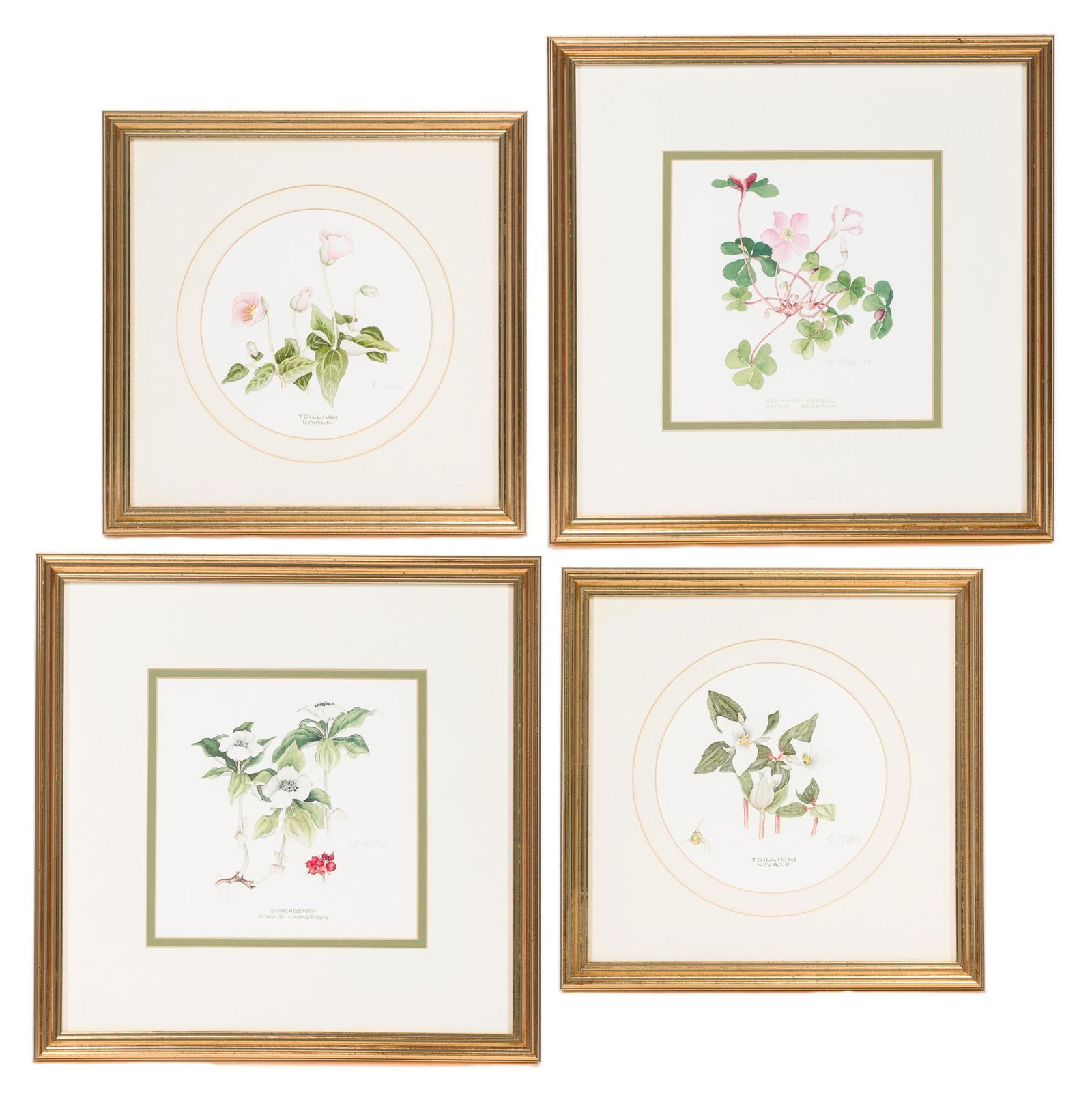 4 Floral Prints incl Bunchberry (1 of 13)