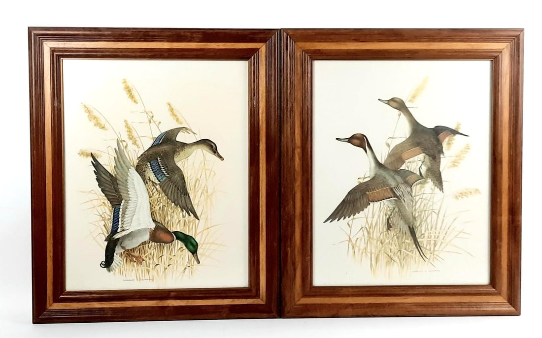 2 Charles E. Murphy Duck Prints (1 of 3)