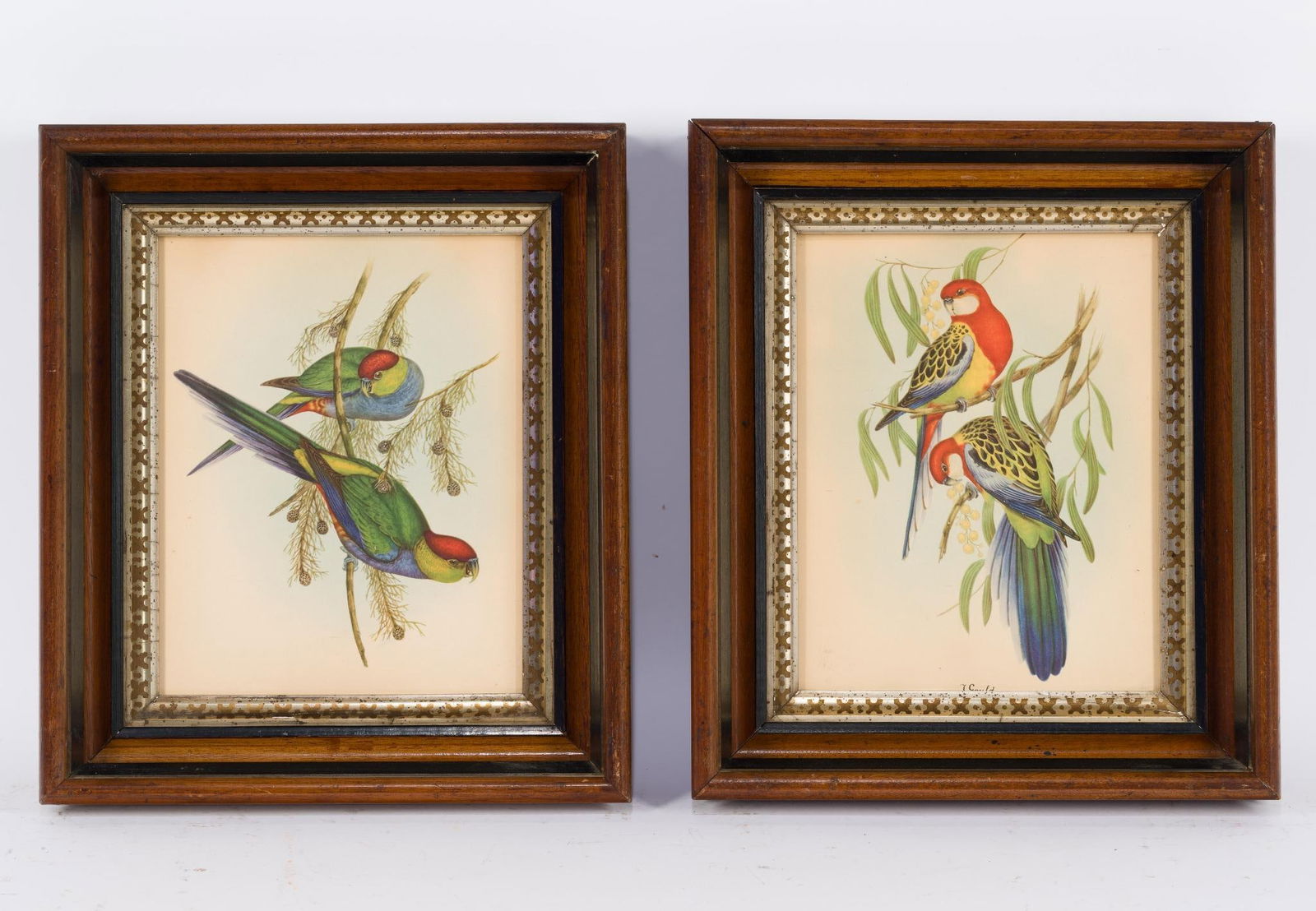 2 Framed Bird Prints (1 of 4)