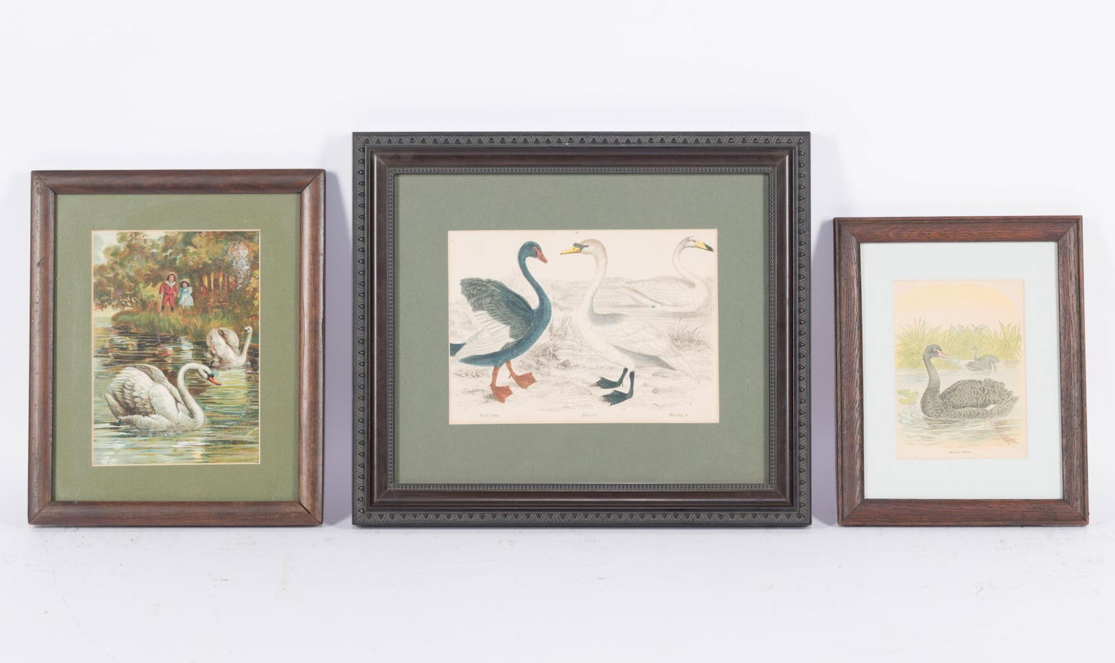 3 Framed Swan Prints (1 of 5)
