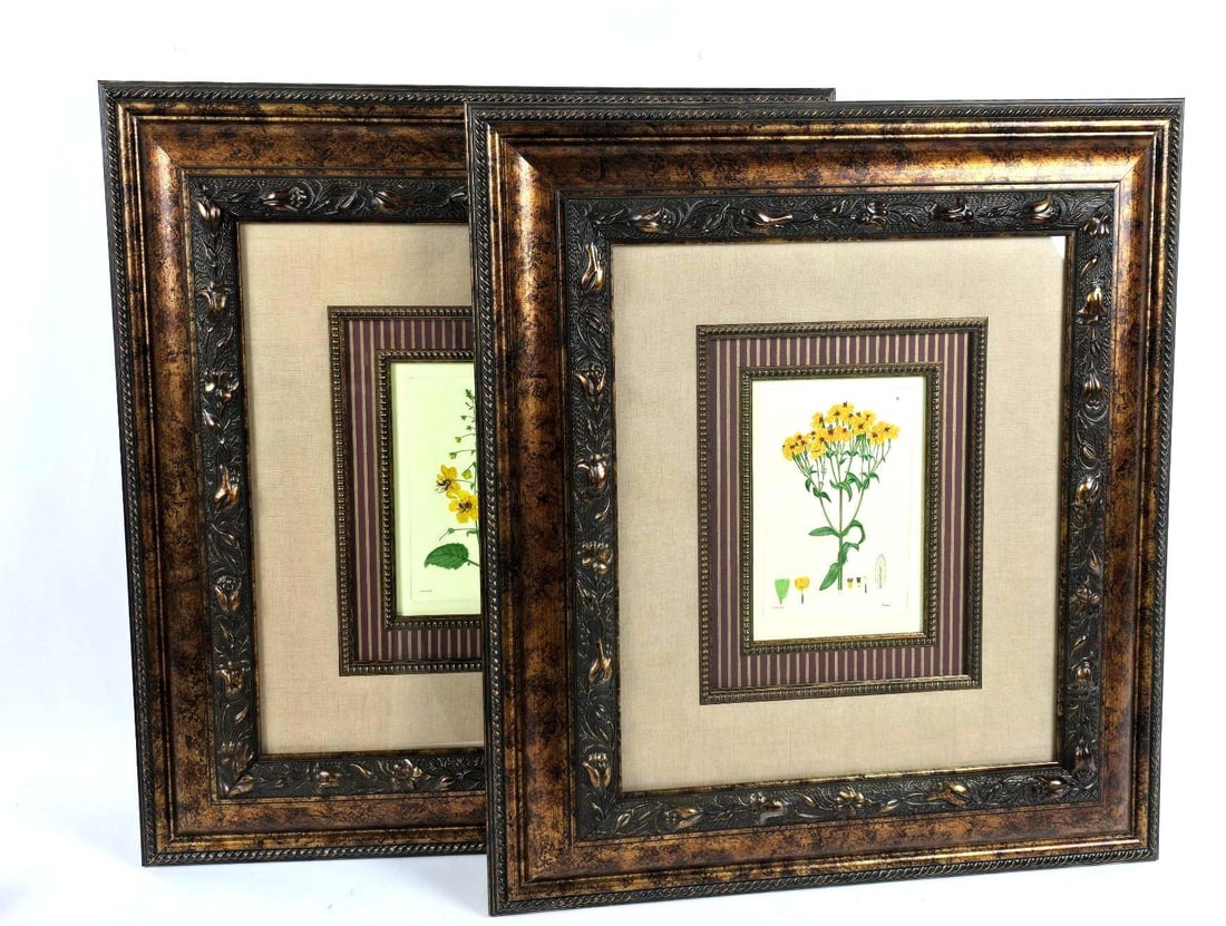 Pr Floral Prints in Ornate Frames (1 of 3)