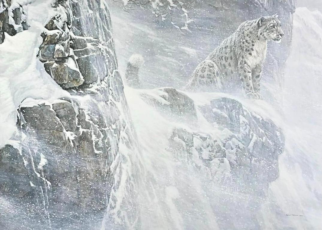 Robert Bateman "Snow Leopard - High Kingdom" Ltd Ed Print (1 of 4)