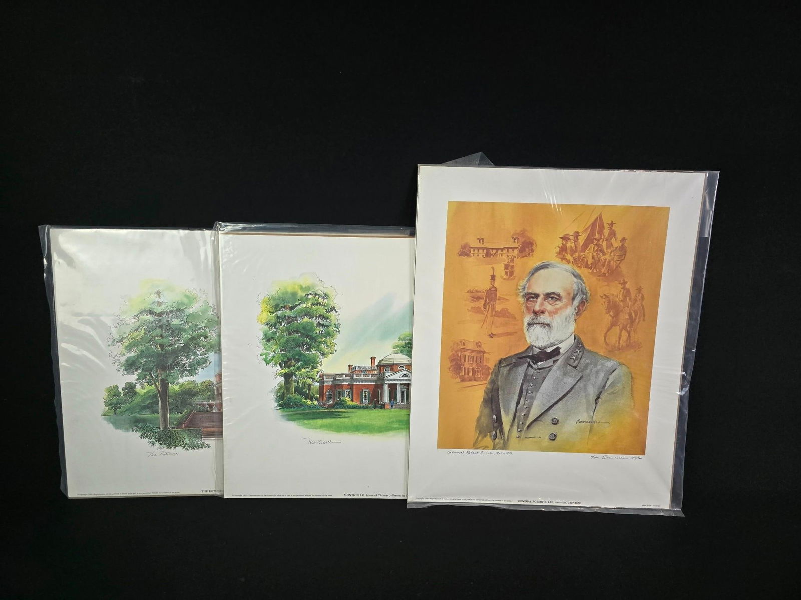 3 Don Cannavaro Ltd Ed Prints Monticello (1 of 13)