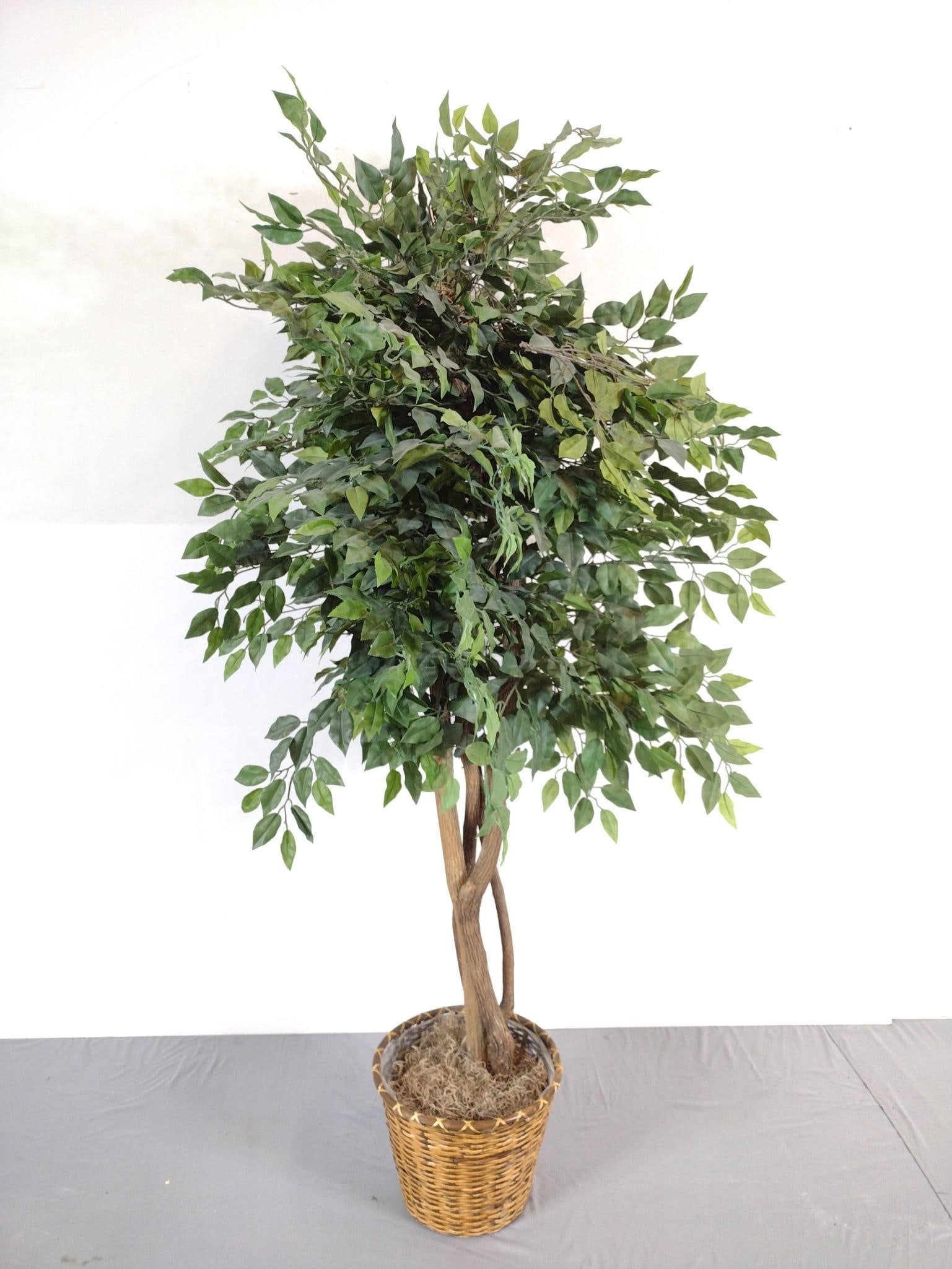 Artificial Tree: NOT ELIGIBLE FOR IN-HOUSE SHIPPING. 42" wide X 38" deep X 82" high.