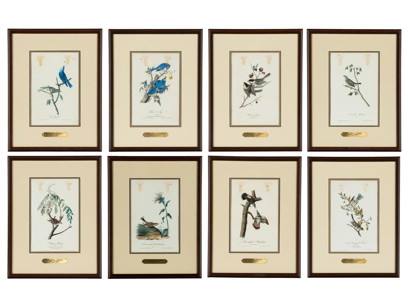 8 Audubon "Birds of America" Hand Colored Prints w/ COA (1 of 17)