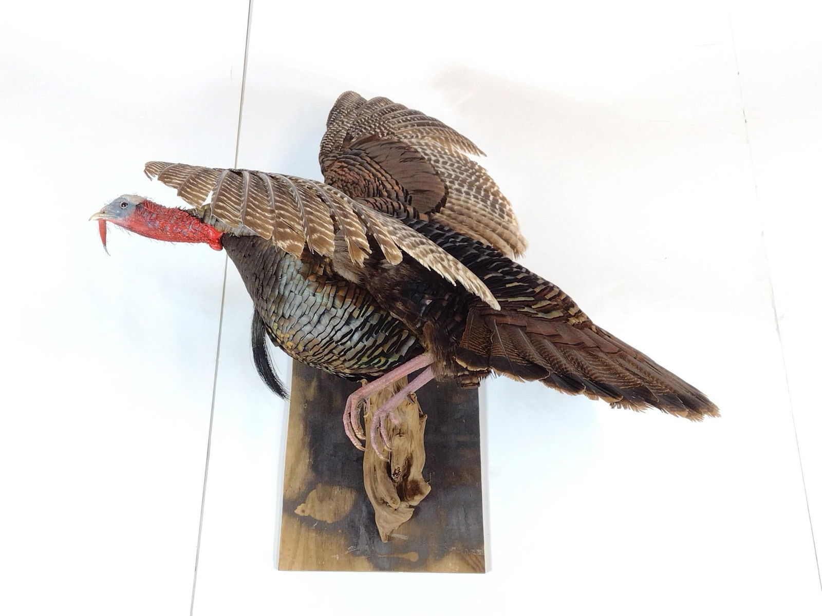 Turkey Mount (1 of 3)