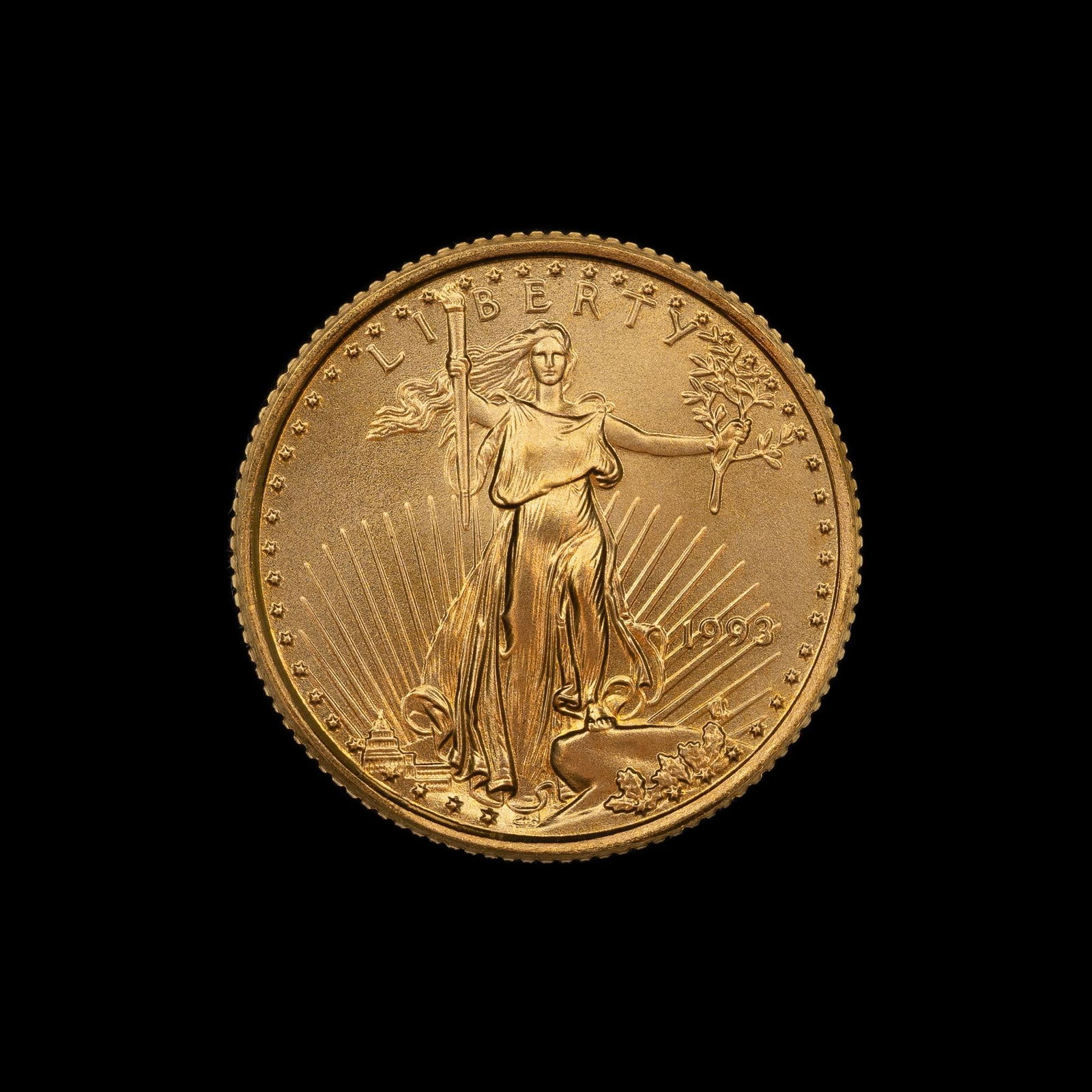 1993 $5 Gold American Eagle (1 of 2)