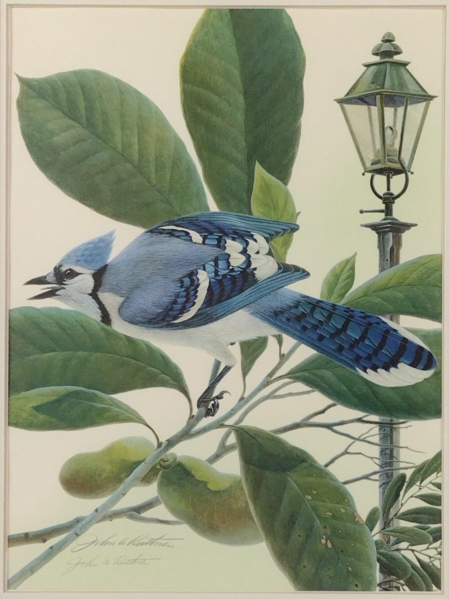 John A. Ruthven " The Blue Jay" Signed Print (1 of 5)