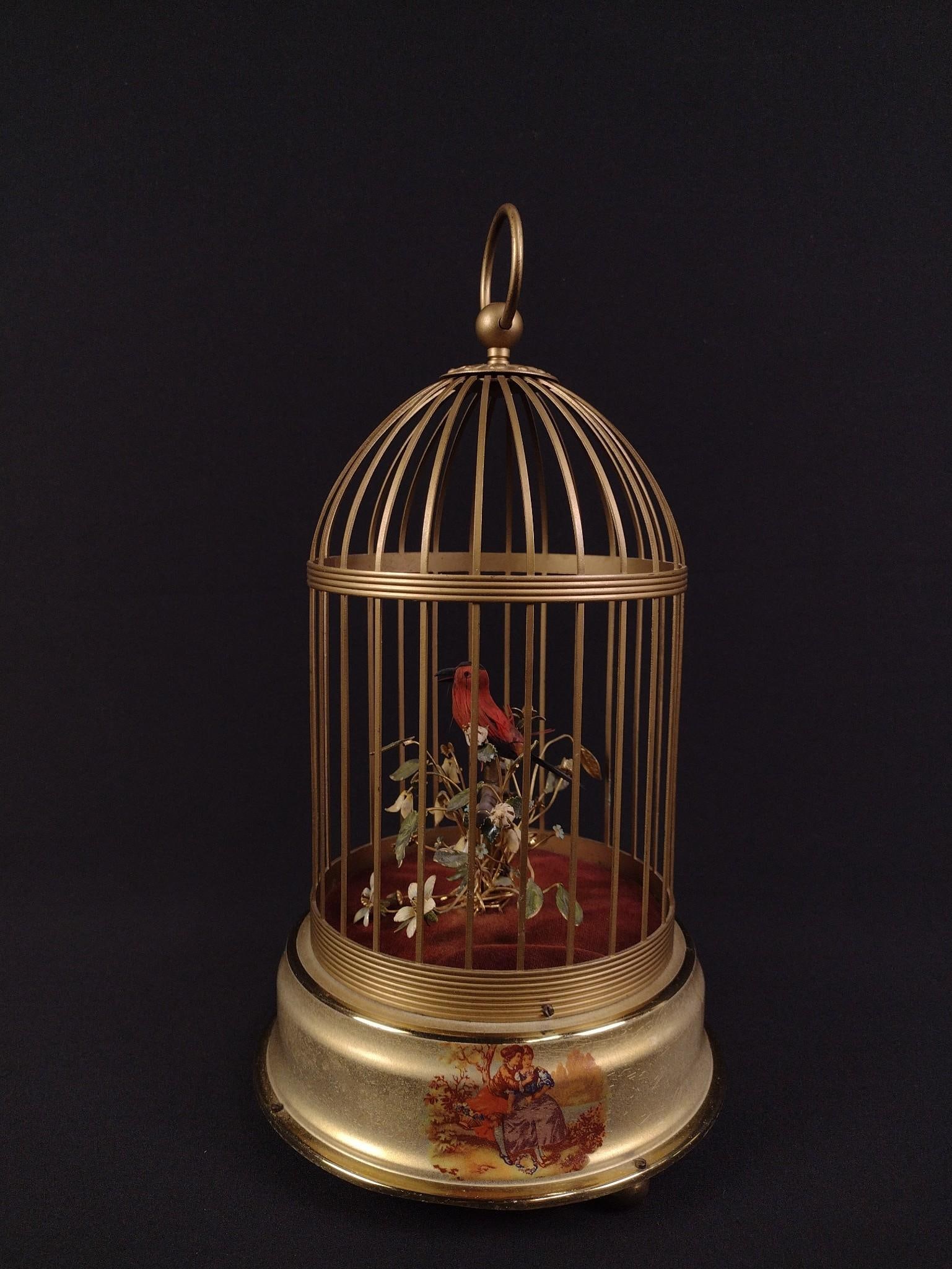 German Automaton Singing Bird Cage Music Box (1 of 7)