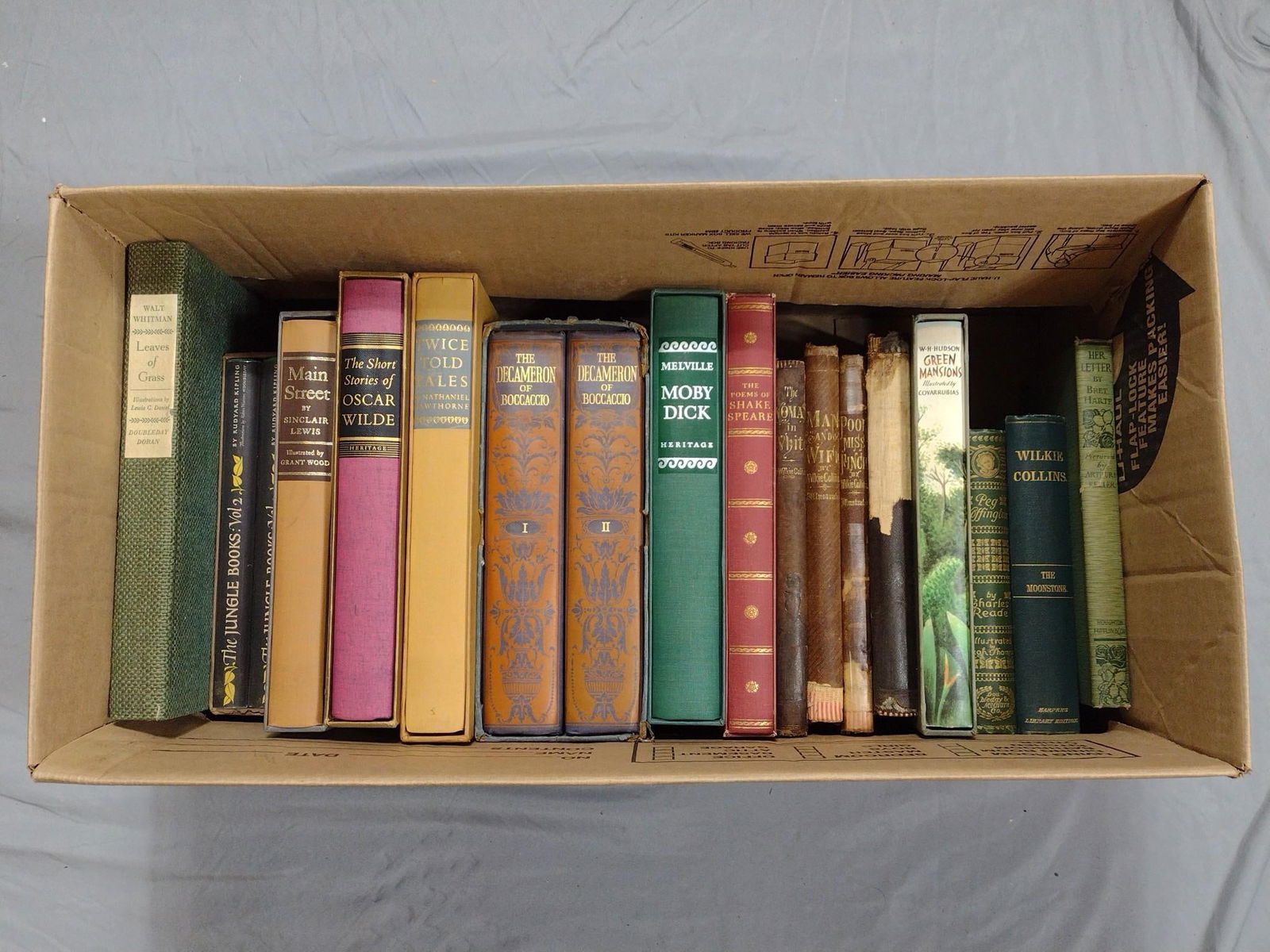 Lot Of Books Incl Moby Dick: NOT ELIGIBLE FOR IN-HOUSE SHIPPING. Also includes Main Street, Twice Told Tales and more.