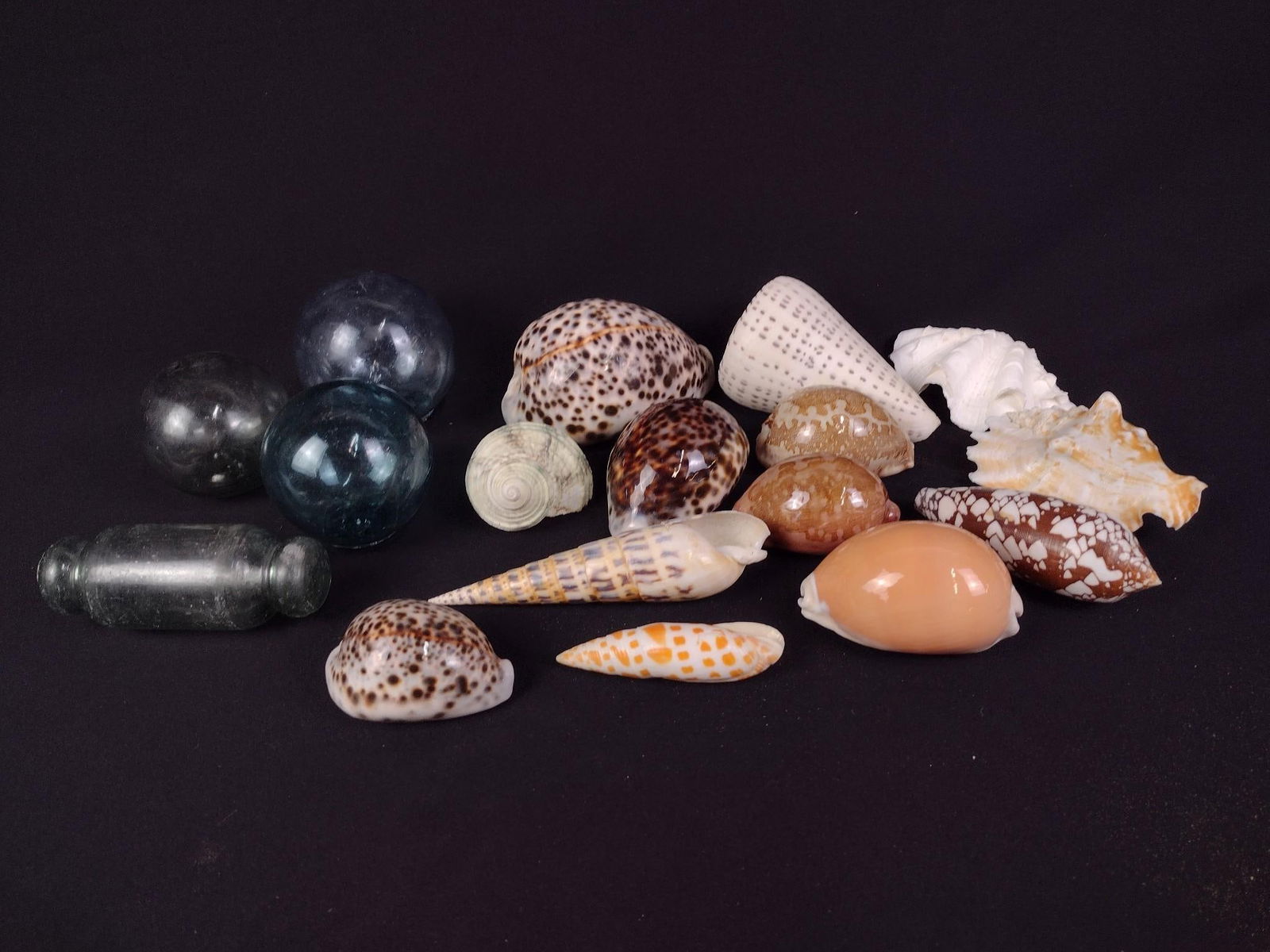 Assorted Seashells and Blown Glass Objects (1 of 5)