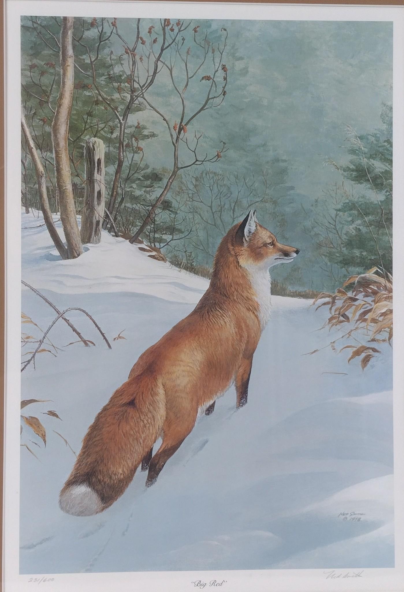 "Big Red" Limited Edition Ned Smith Print (1 of 5)