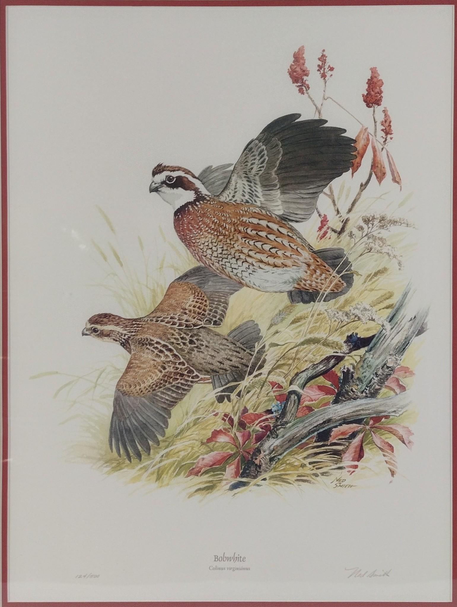 "Bobwhite" Limited Edition Ned Smith Print (1 of 5)