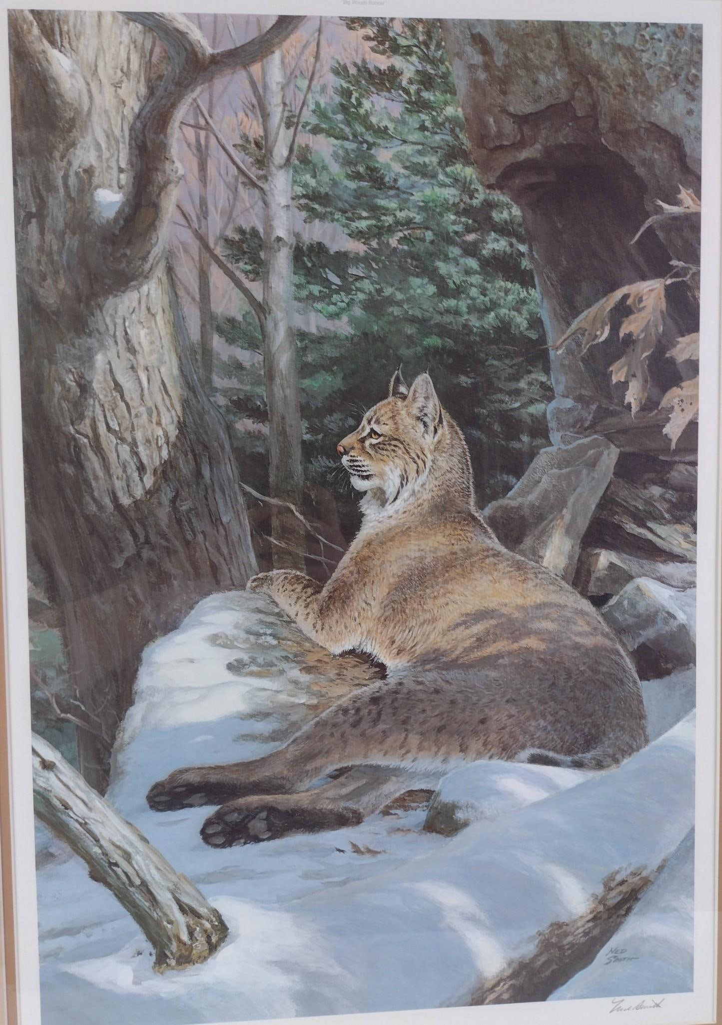 "Big Woods Bobcat" Signed Ned Smith Print (1 of 5)
