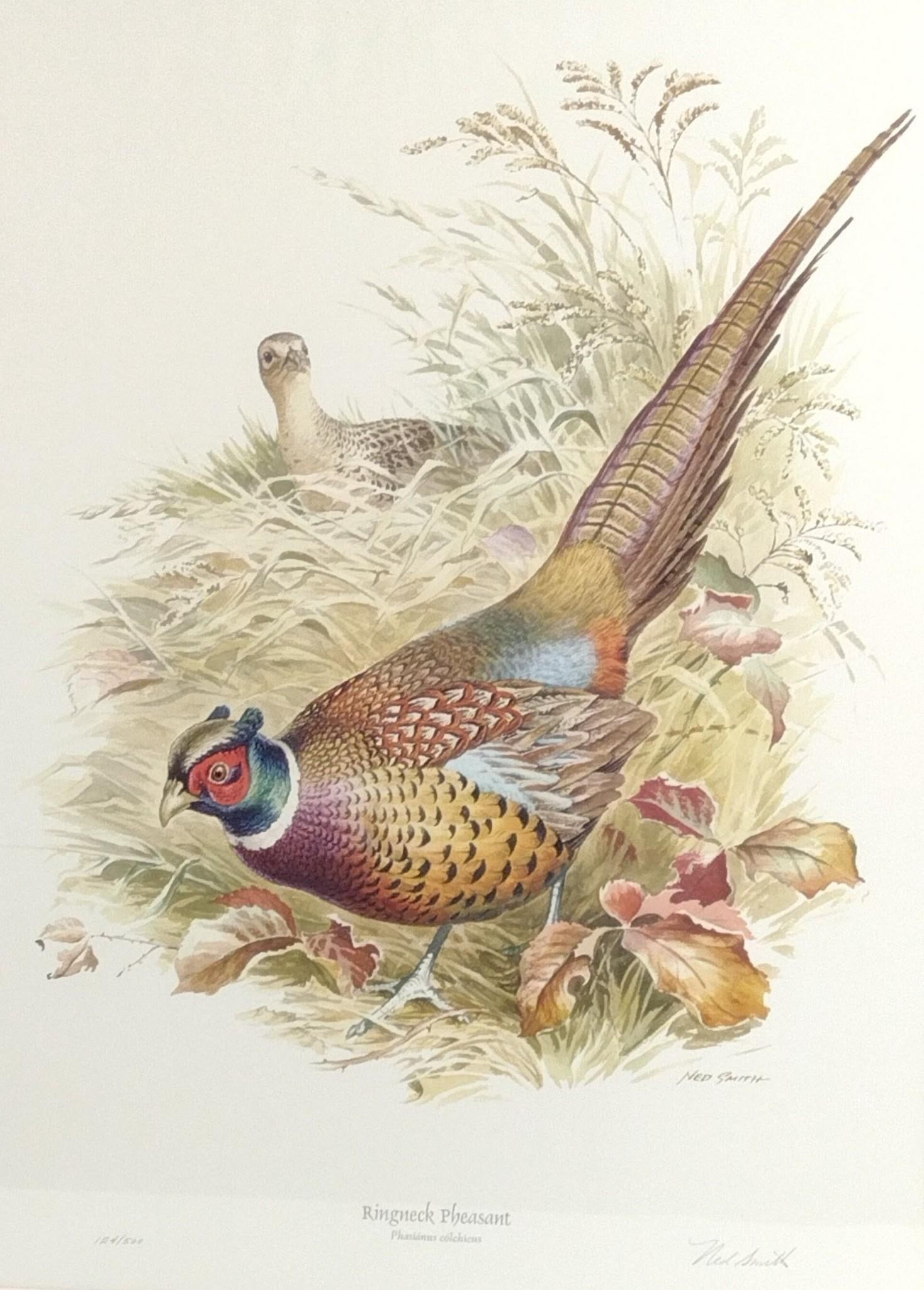 Ned Smith Signed Ringneck Pheasant Limited Edition Print (1 of 5)
