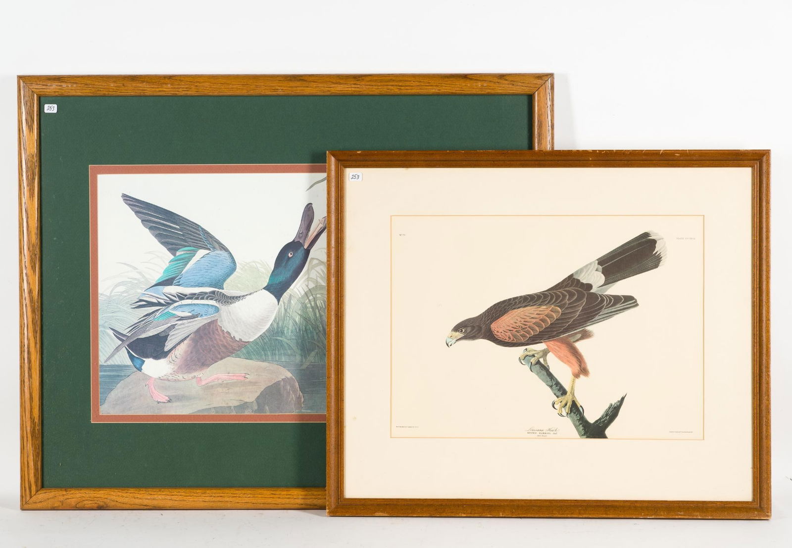 2 John James Audubon Prints (1 of 5)
