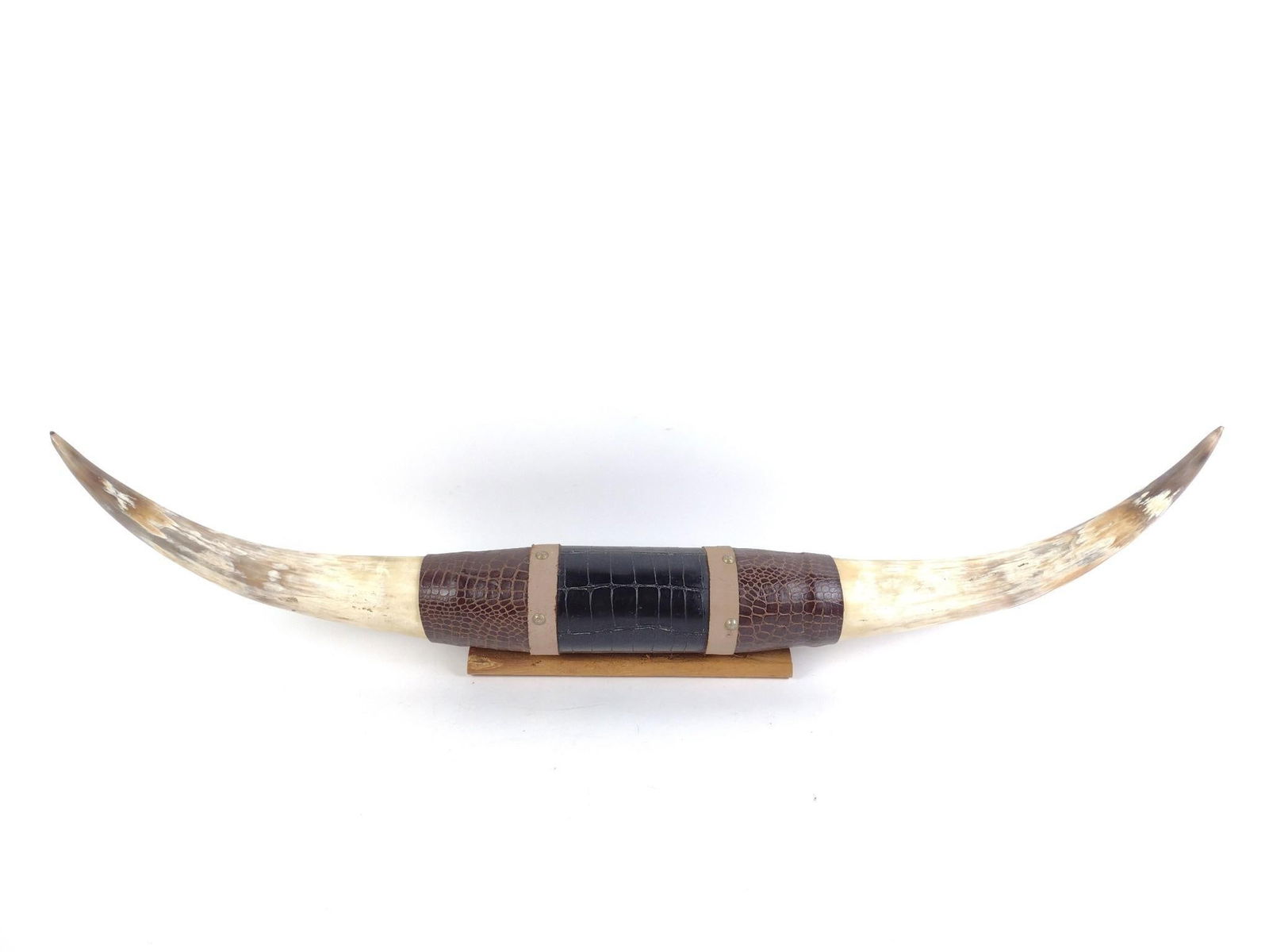 Longhorn Wall Mount (1 of 2)