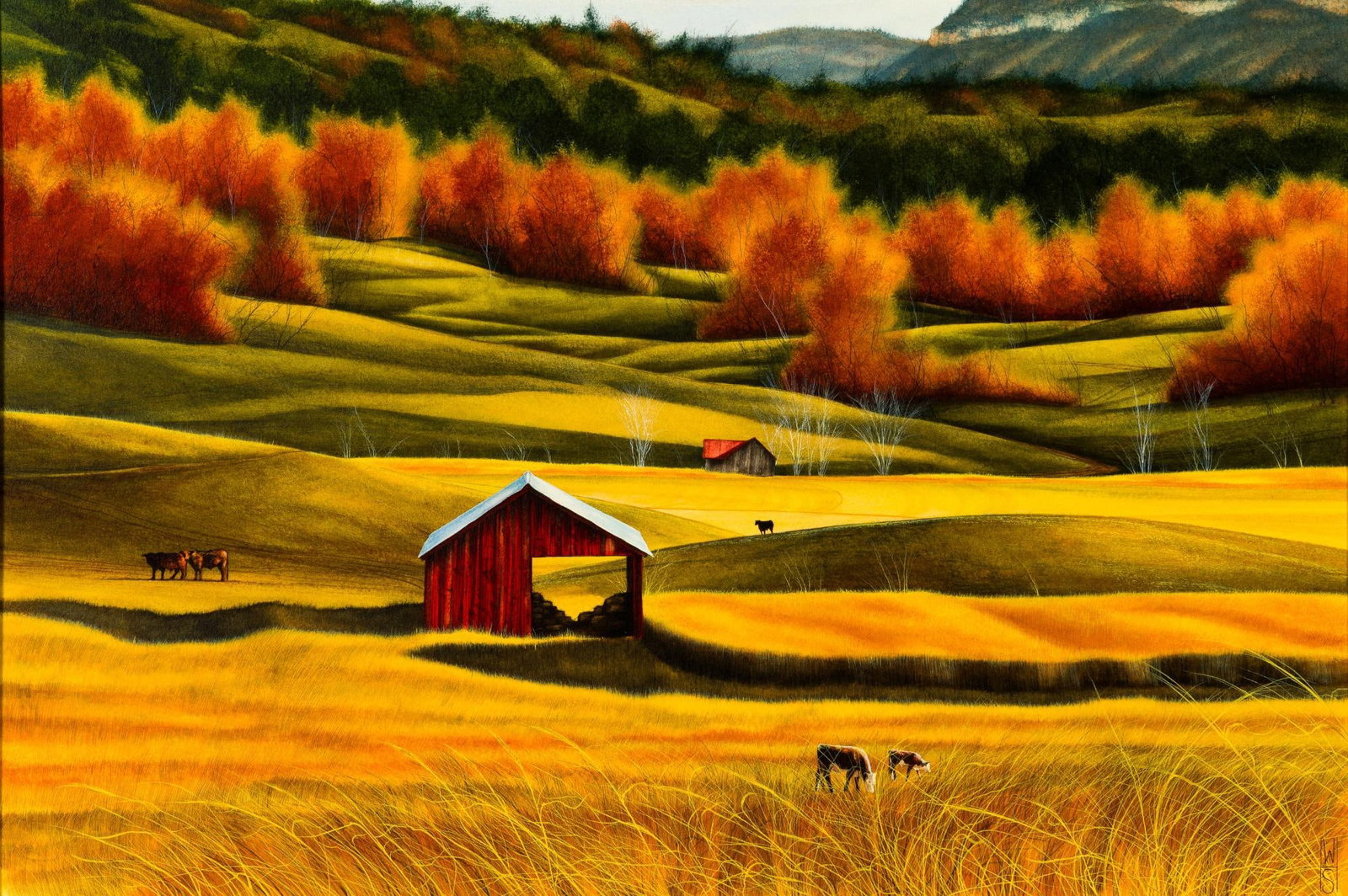 Barn Landscape (1 of 4)