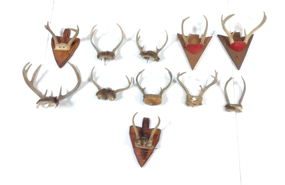 11 Racks: 5" to 13-1/2" wide.