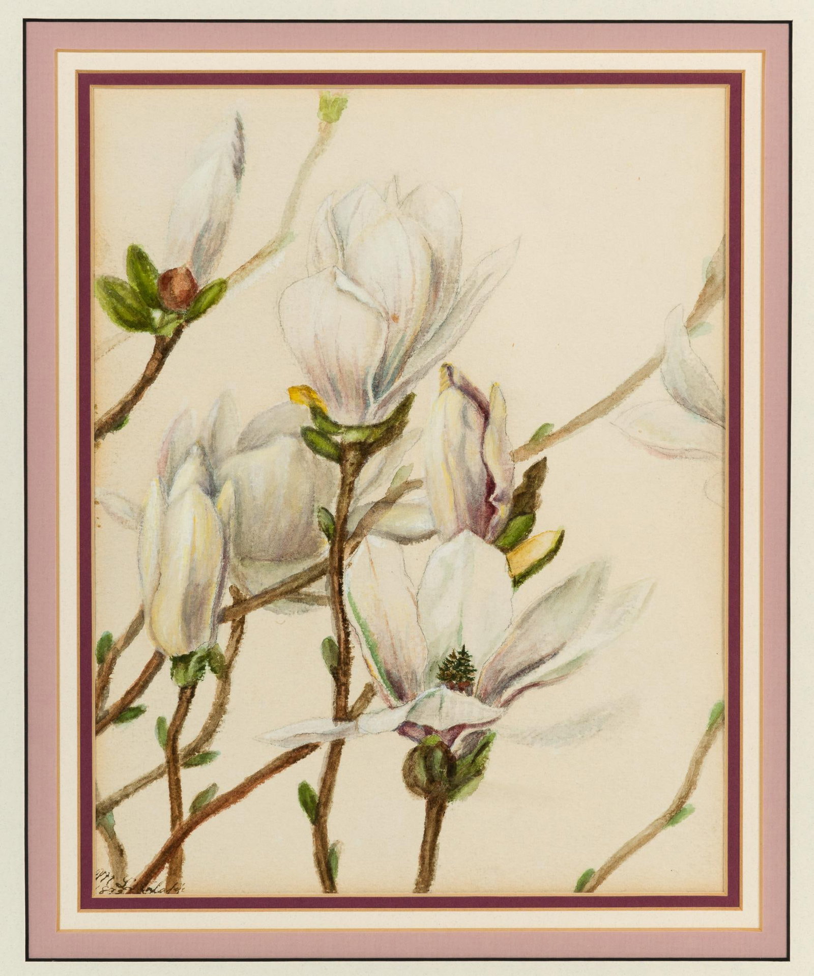 Magnolia Blossom Framed Art: Signed lower left, cut off by frame and matte. 23-3/4" long x 18-1/2" wide.