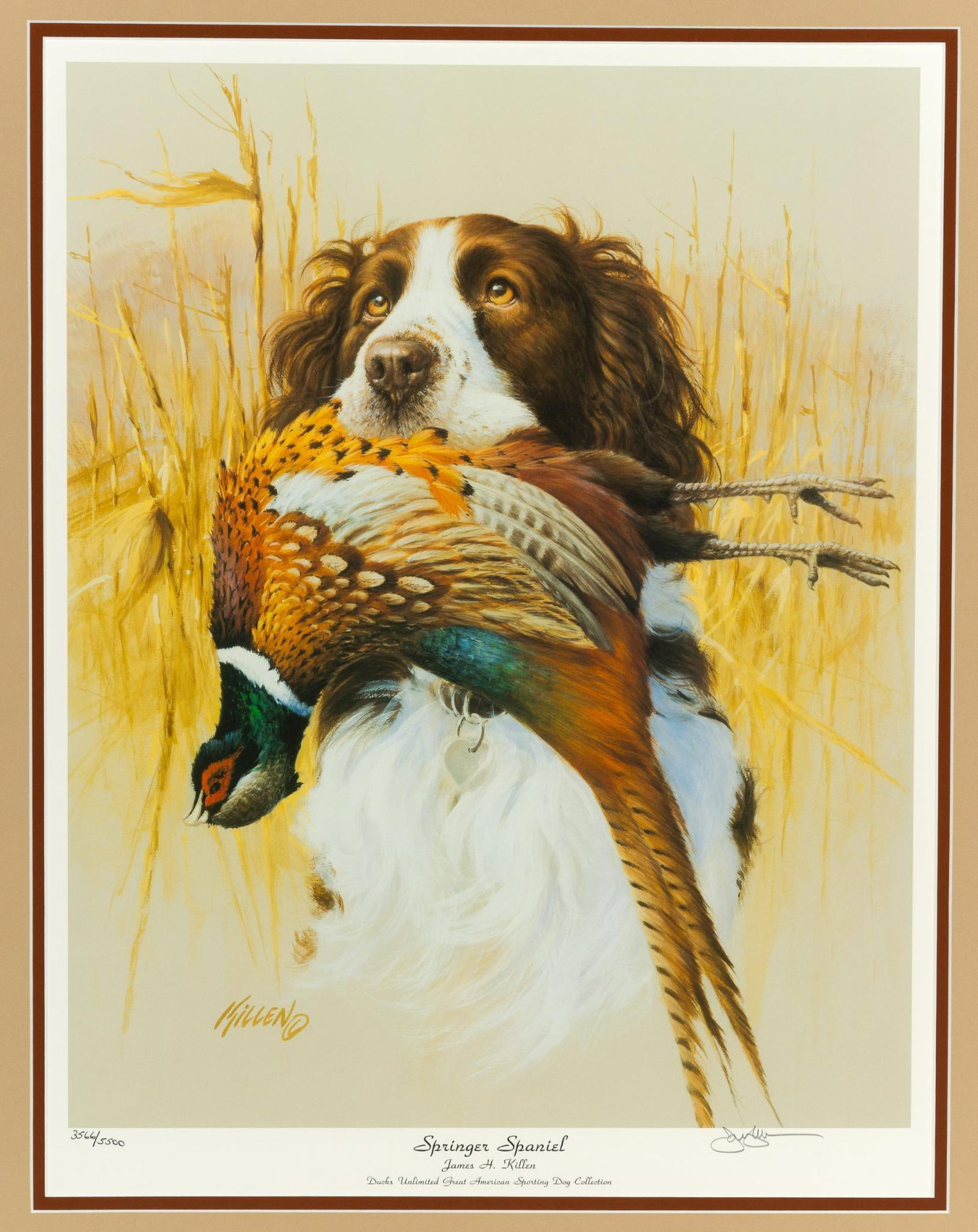 James Killen Springer Spaniel Print (1 of 5)