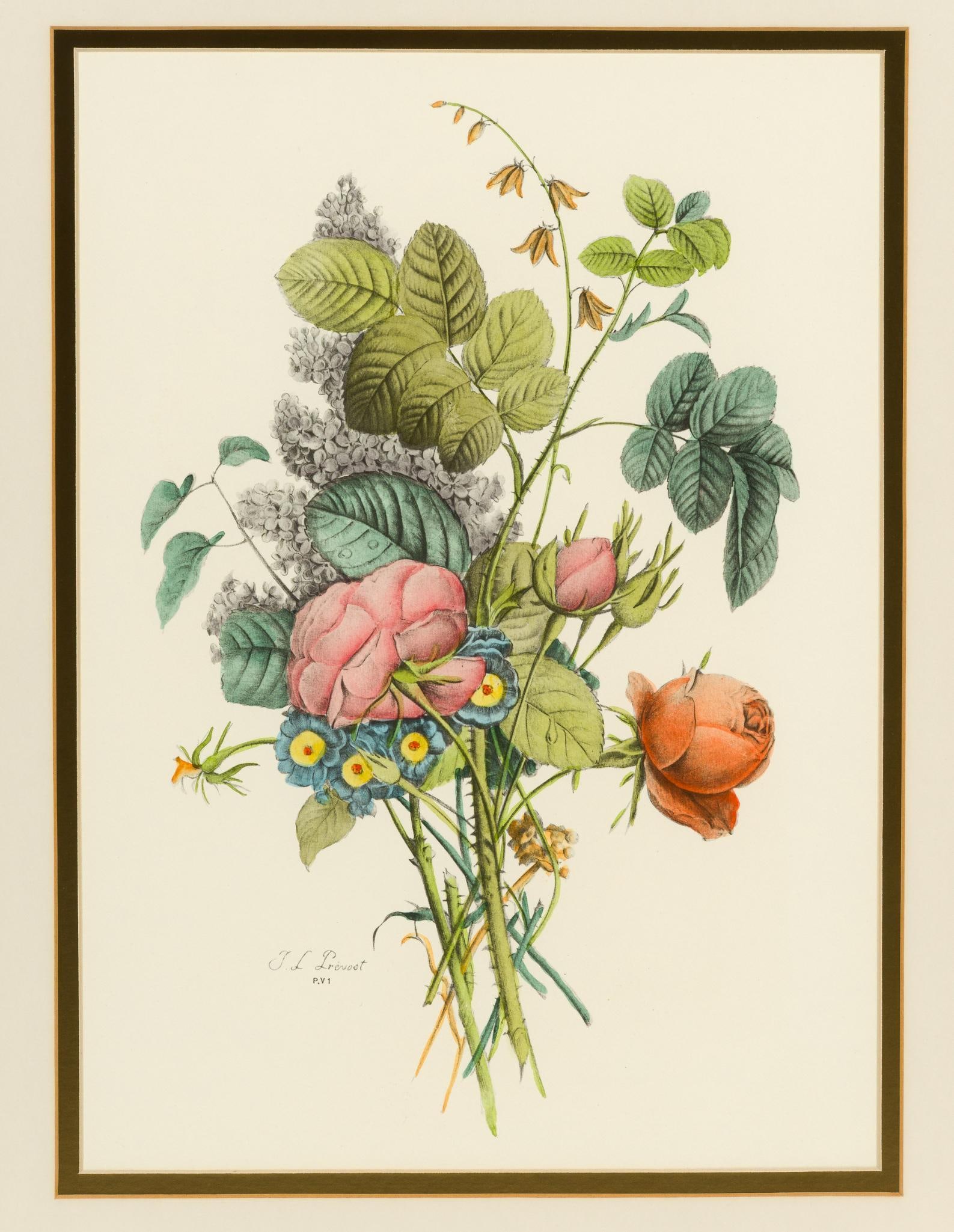 Jean-Louis Prévost Floral Print: 24-1/4" long x 20" wide, sight 14-3/4" long x 10-1/2" wide.