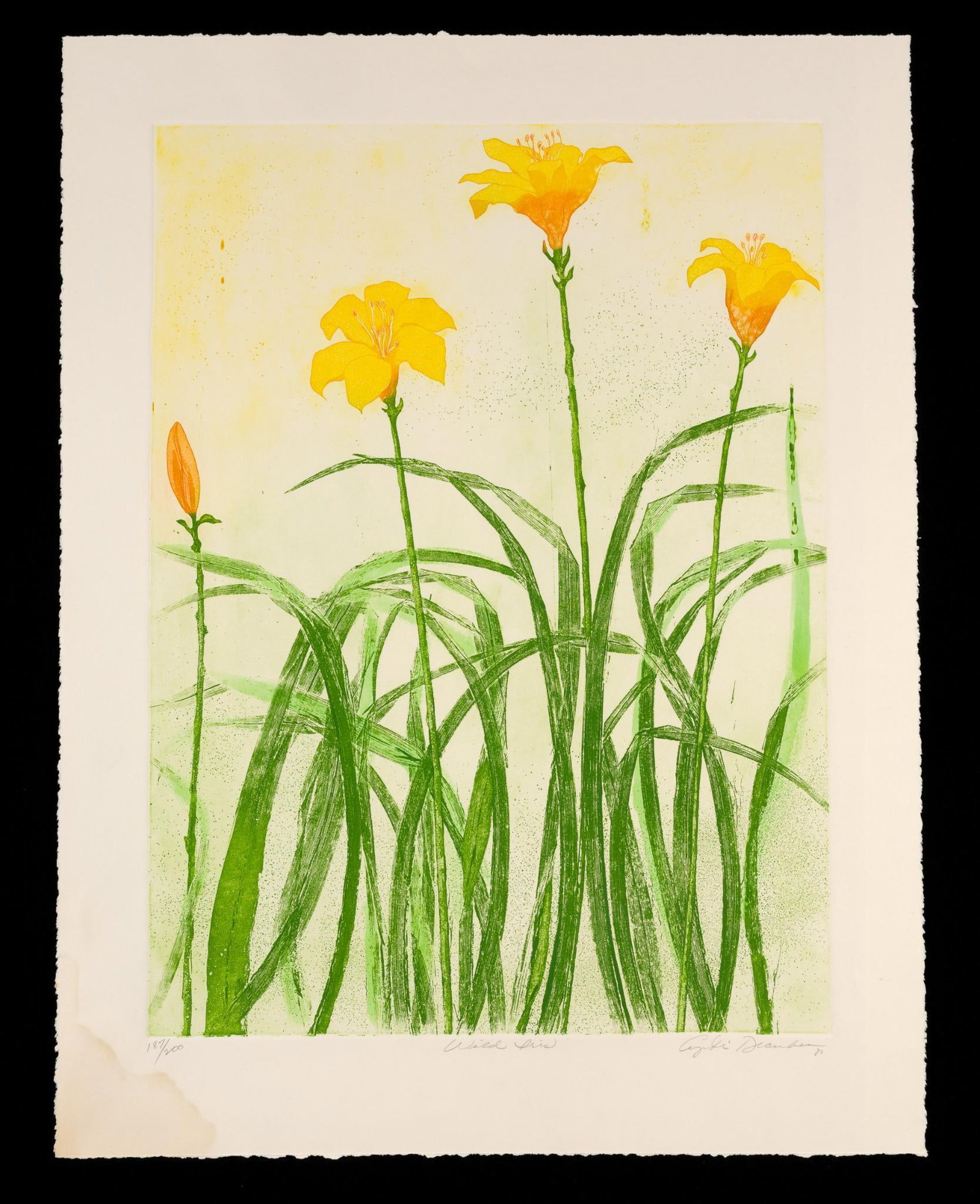 Cynthia December "Wild Iris" Print (1 of 4)