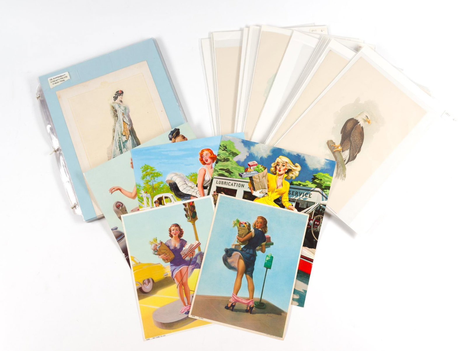 Vintage Prints Incl Pinup: Including 5 vintage "upskirt" pinups, 16 different Cristy's prints c. 1906, and 15 antique lithographs of birds of pray from 1897. Largest print is 10" x 8", bird lithographs are 8 - 3/4" x 5 - 3/4".